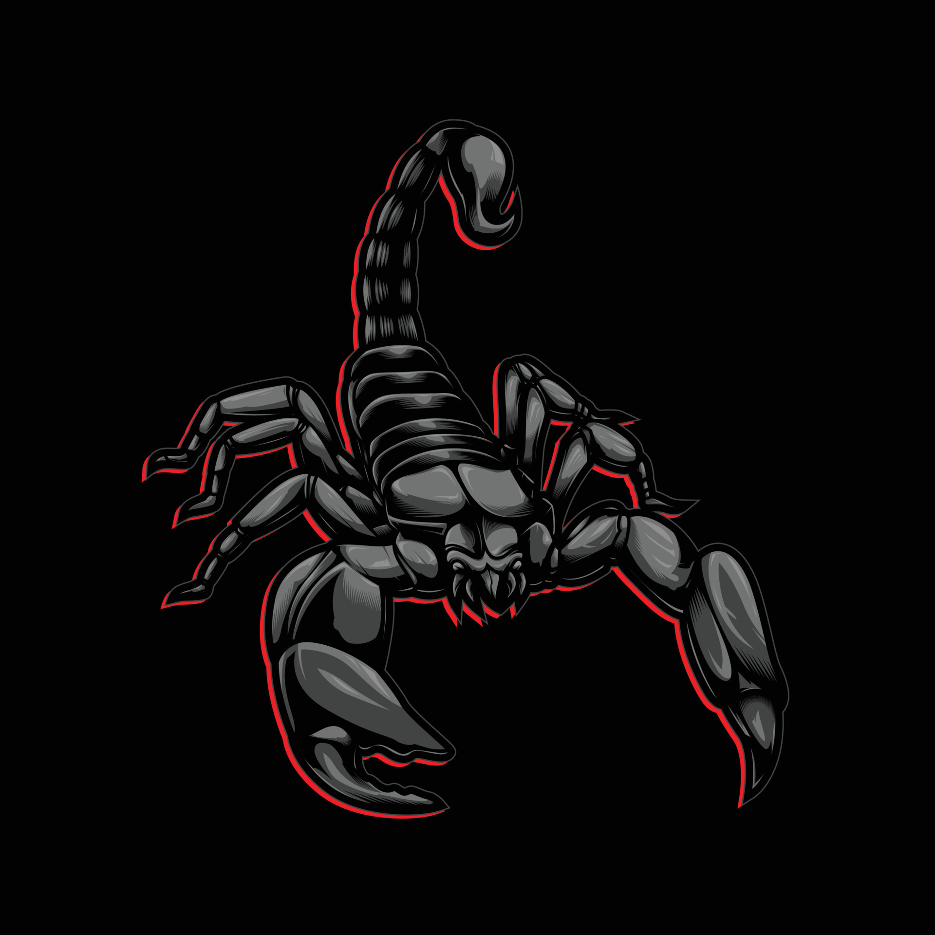 The scorpion vector, Striking artwork, Intricate design, Digital illustration, 1920x1920 HD Phone