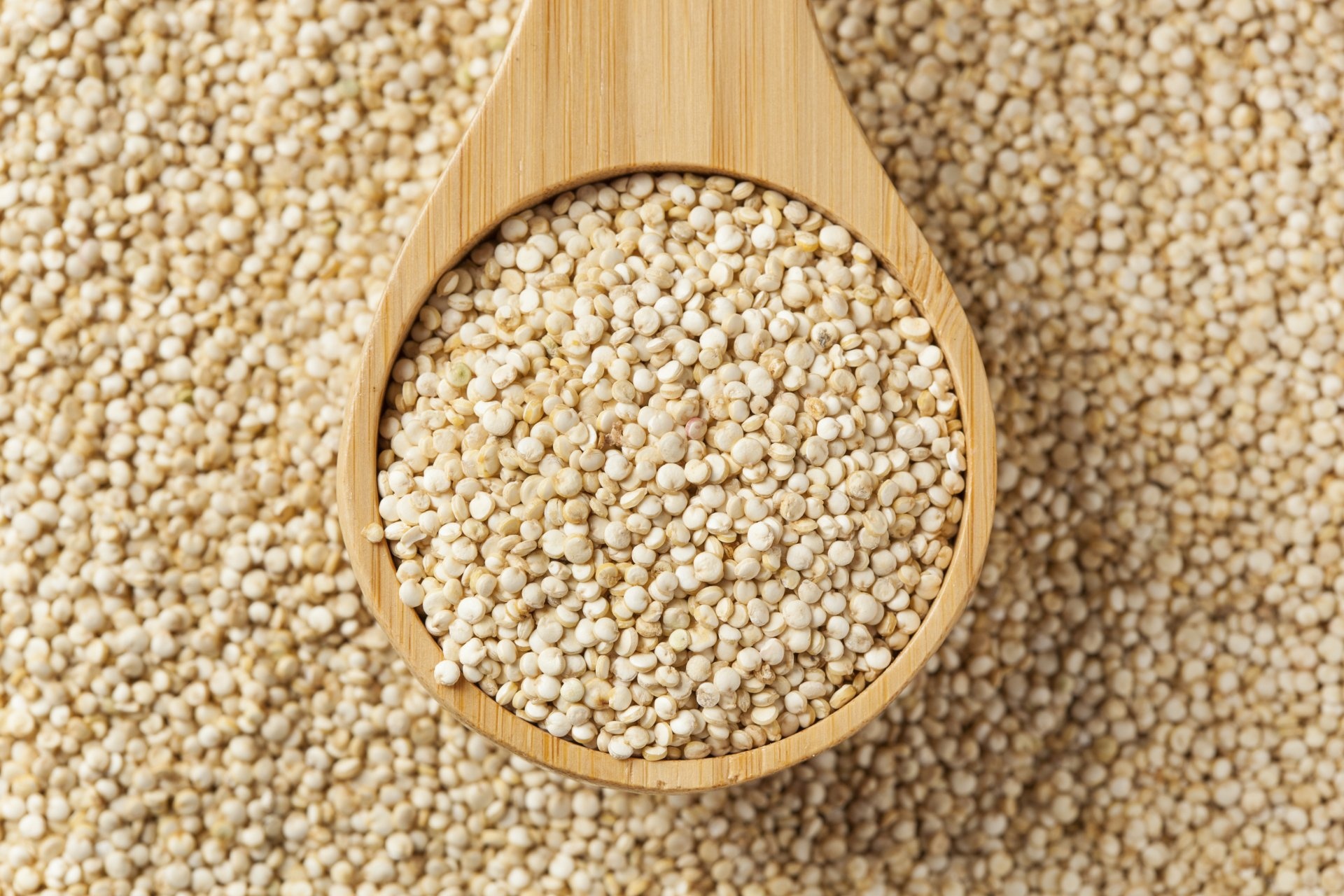 Quinoa wallpapers, HD images, Food backgrounds, Modern design, 1920x1280 HD Desktop