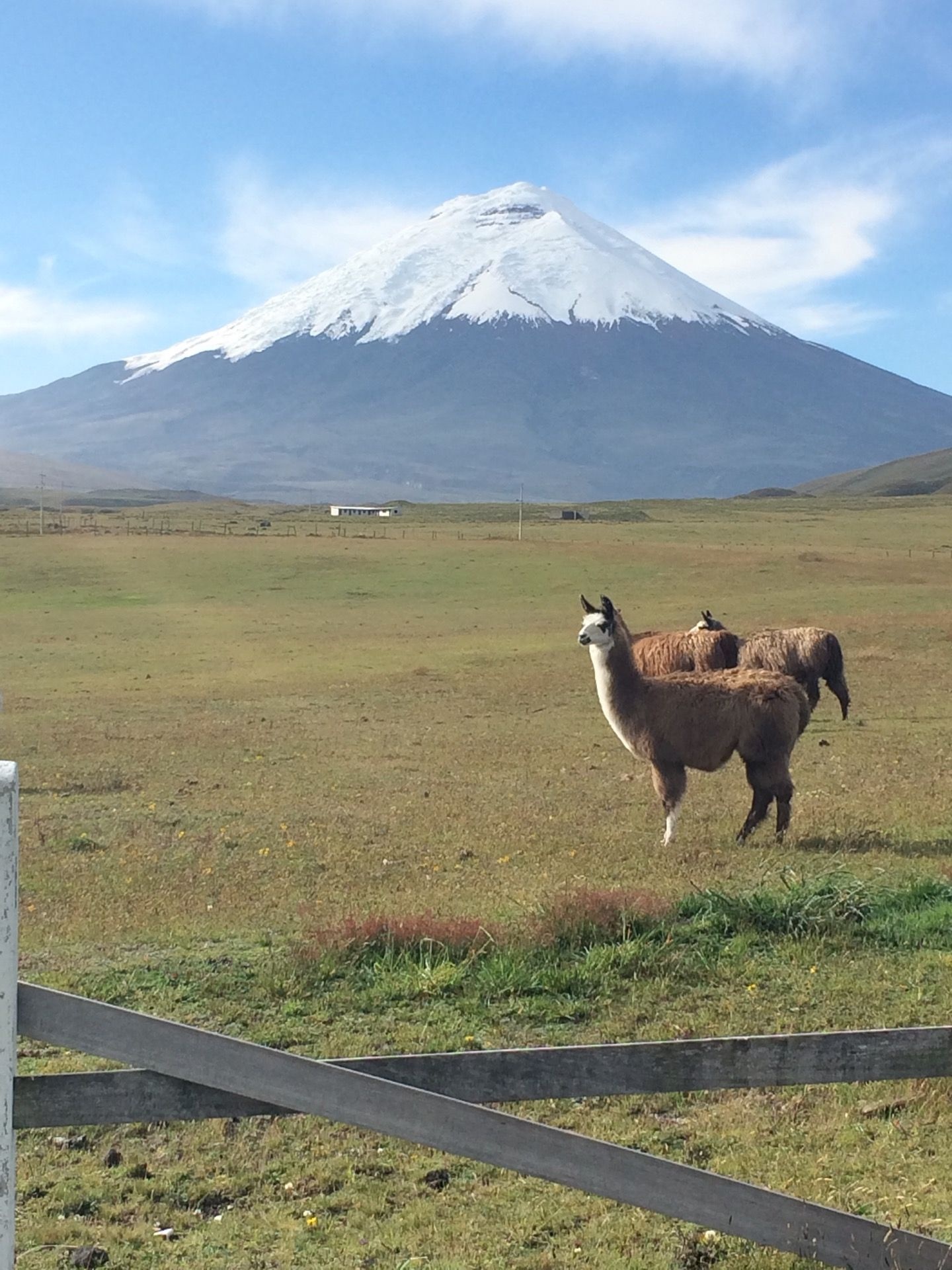 Cotopaxi, Amazing nature, International travel, Ecuador, 1440x1920 HD Phone