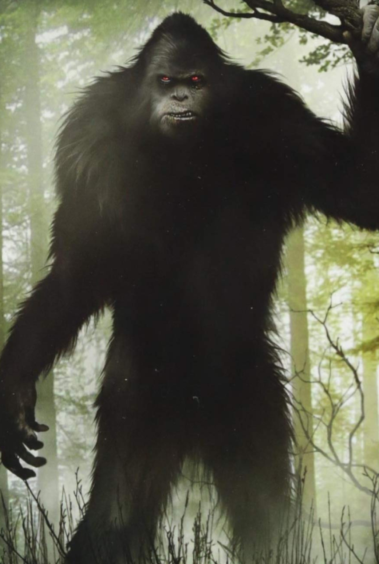 Bigfoot nation, History of sasquatch, North America, David Hatcher, 1330x1970 HD Phone