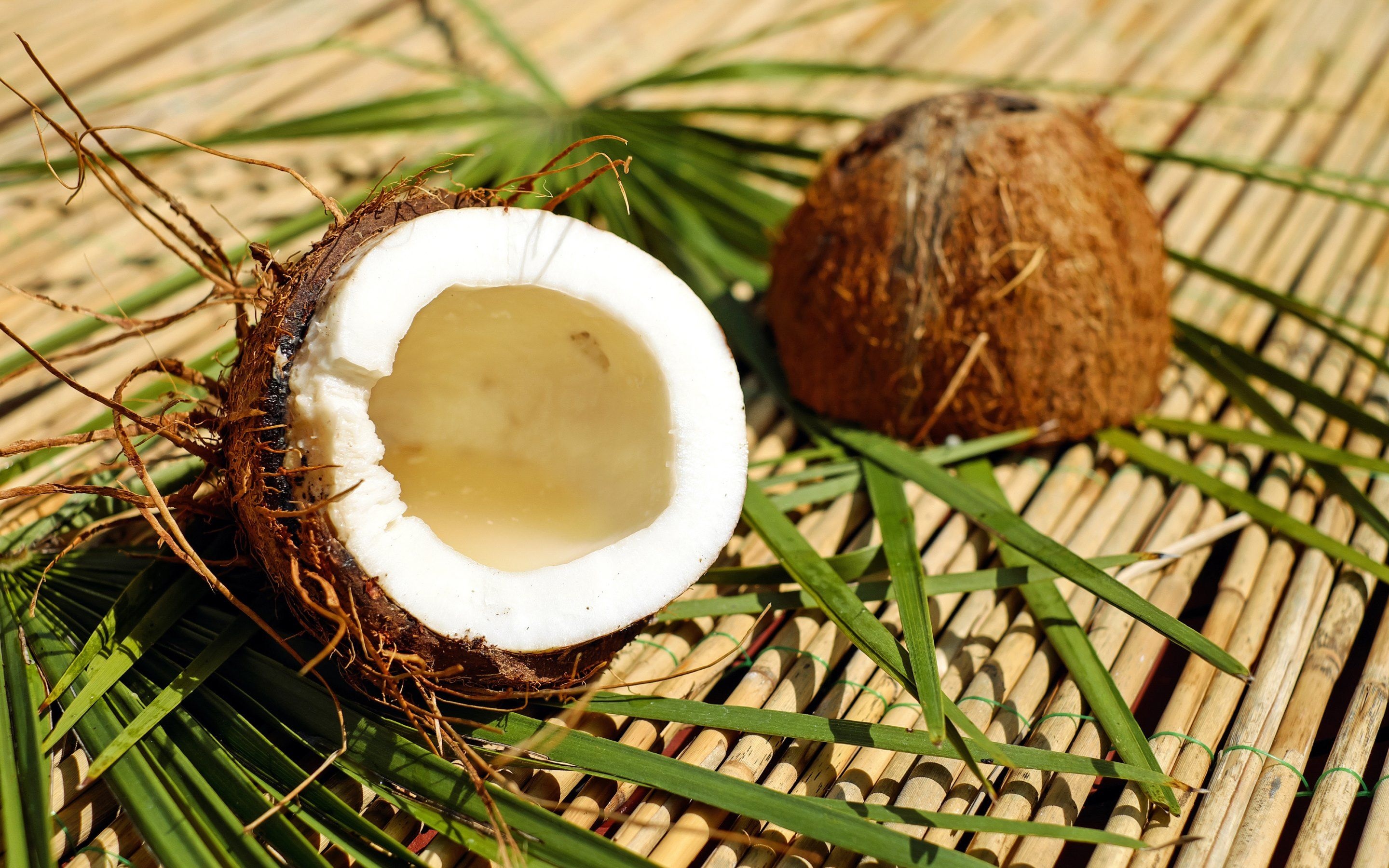 Coconut, Natural beauty, Refreshing drink, Tropical scenery, 2880x1800 HD Desktop