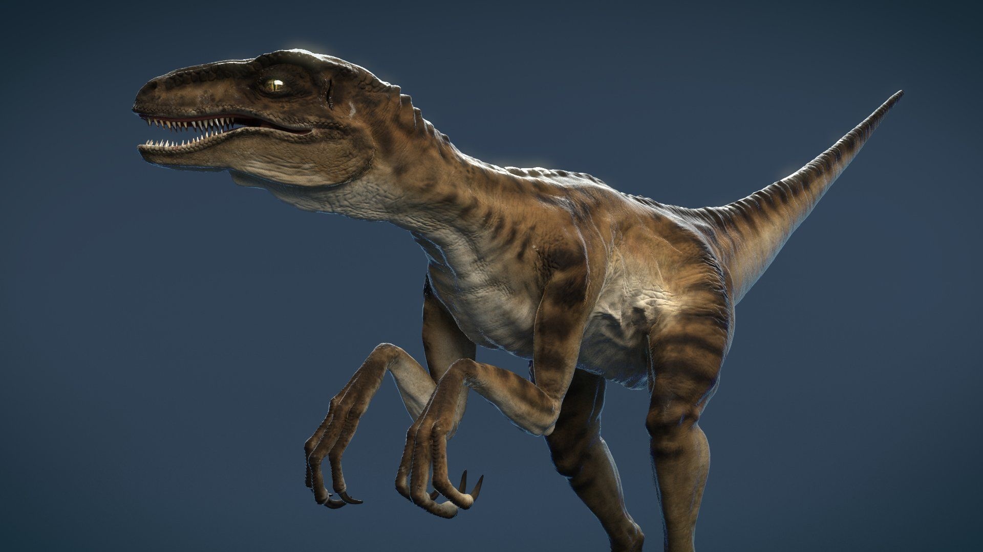 Velociraptor, Popular wallpapers, 4K backgrounds, Dinosaur predators, 1920x1080 Full HD Desktop