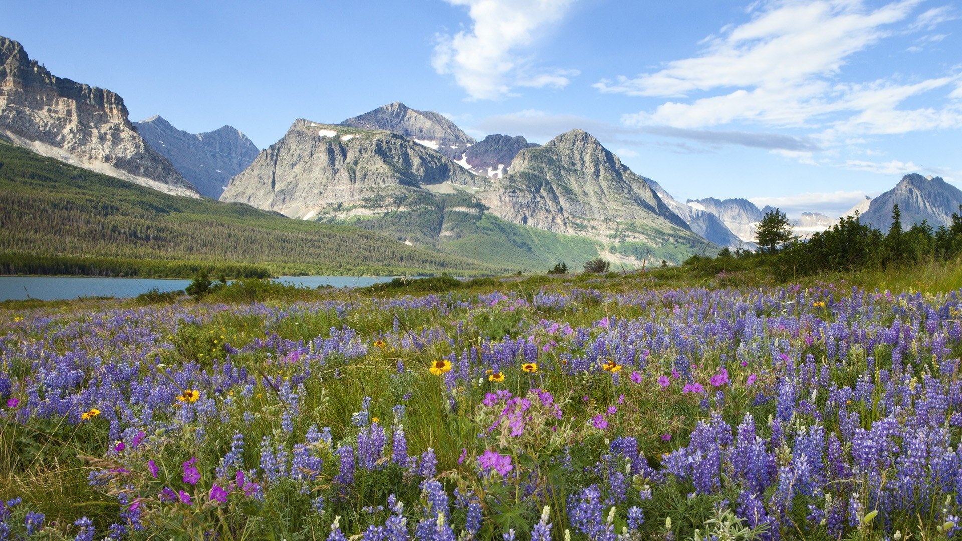 Glacier National Park, Wallpaper, 313761, 1920x1080 Full HD Desktop