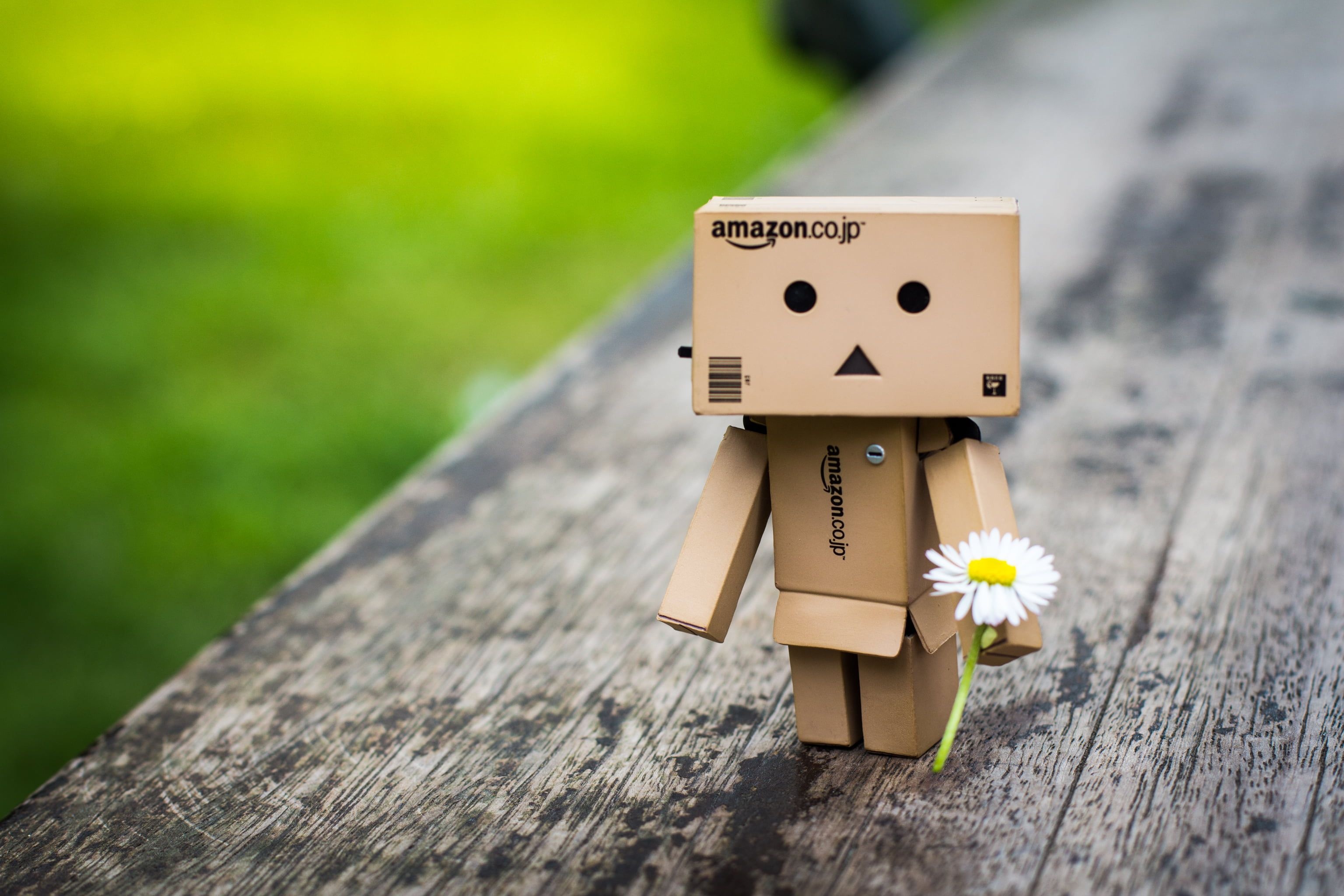 Danbo, Amazon Wallpaper, 3080x2050 HD Desktop