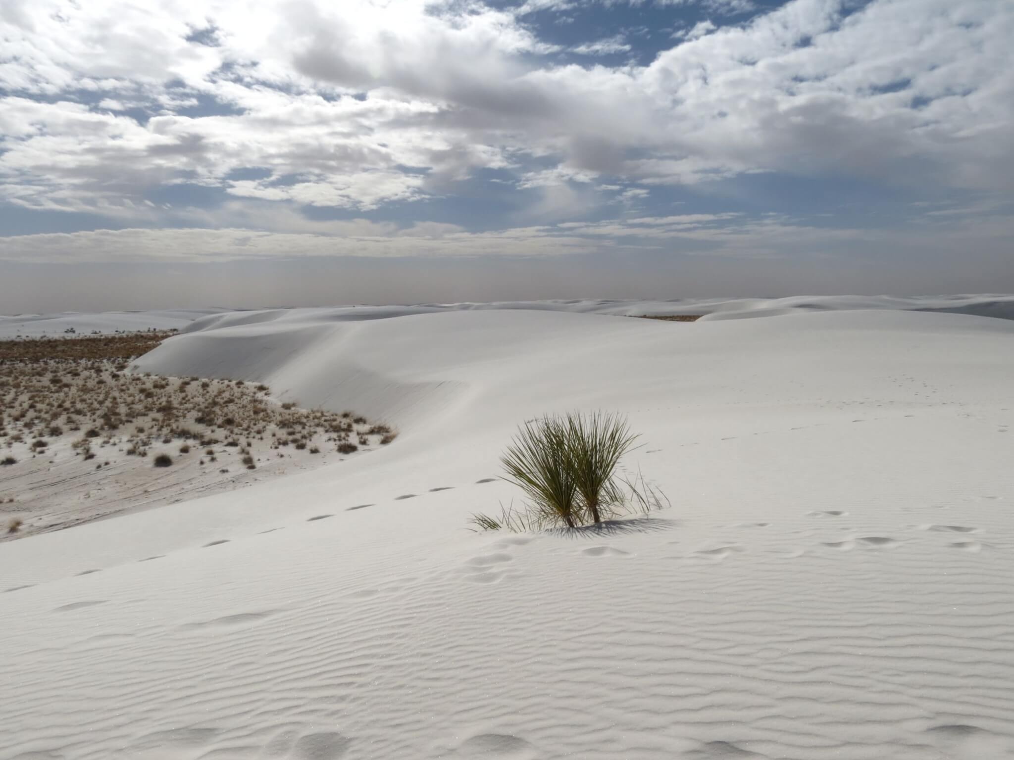 White Sands National Park, Camping, Campsite, Permits, 2050x1540 HD Desktop
