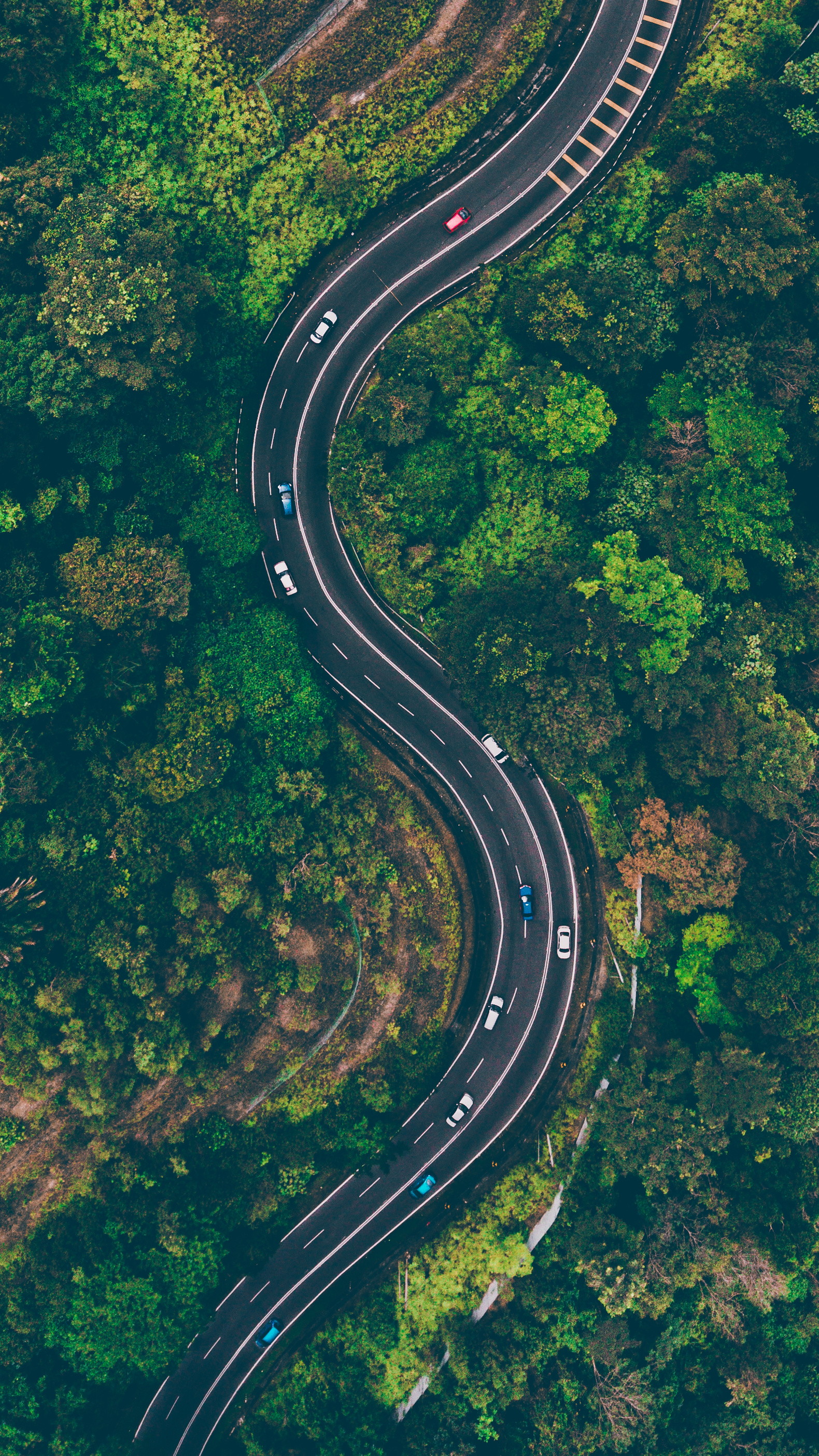 winding asphalt mountain highway, dense tropical rainforest canopy, aerial top-down drone view, HD Phone wallpaper