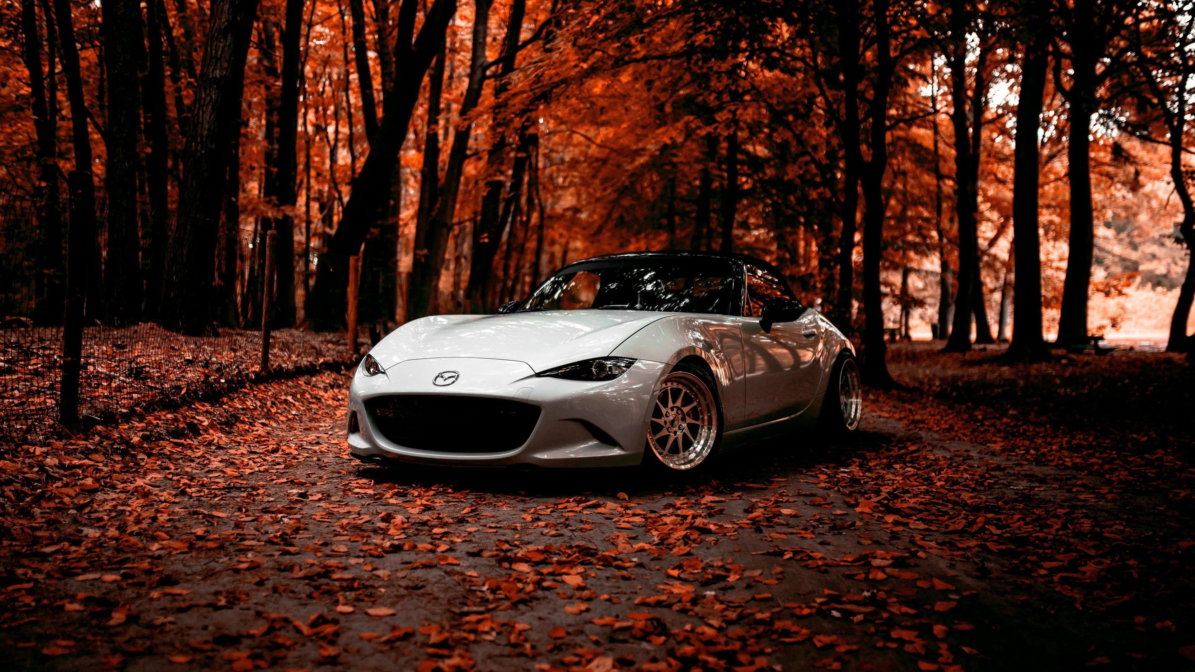 MX-5 ND Autumn, Mazda MX Wallpaper, 3840x2160 4K Desktop