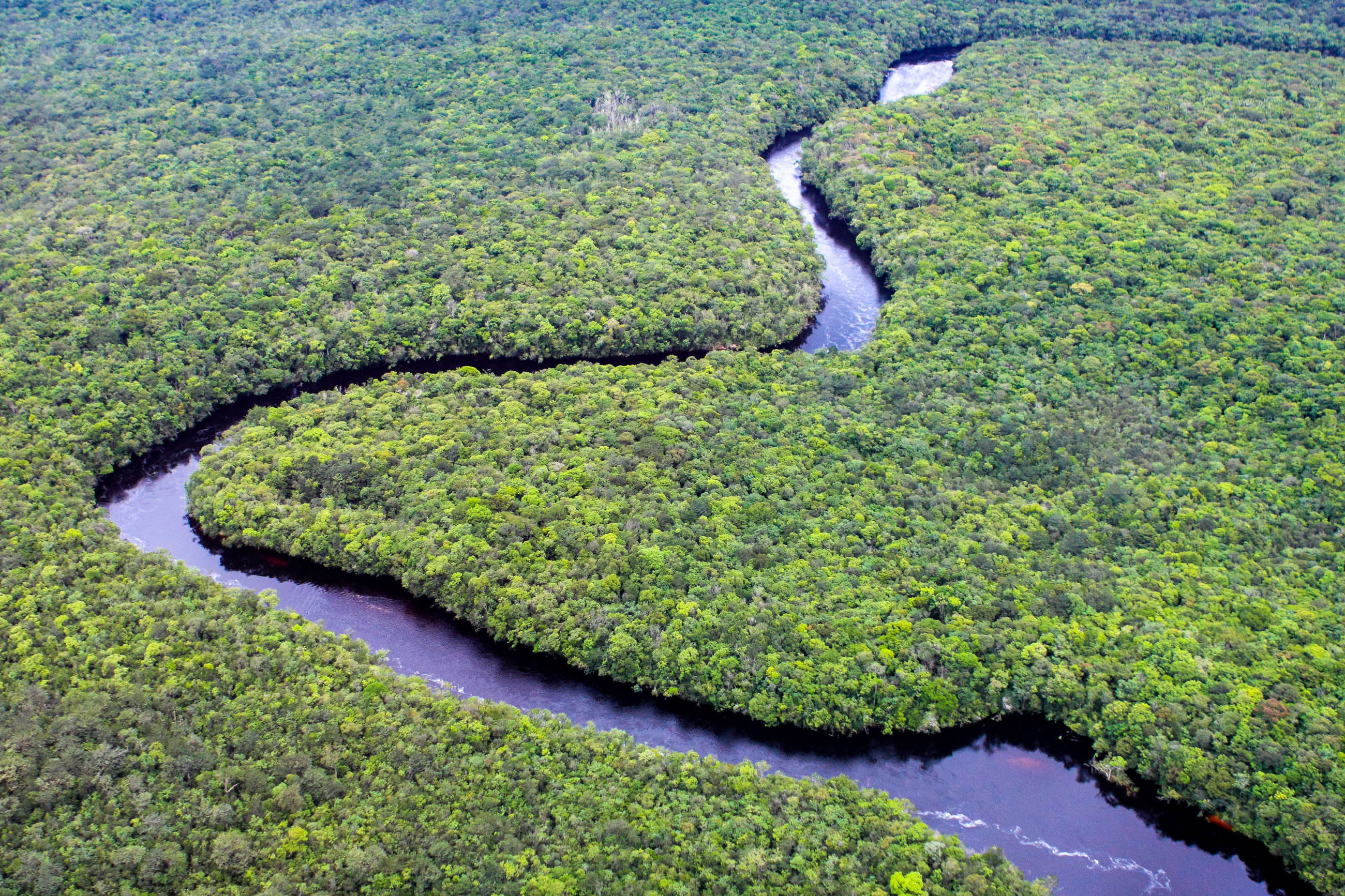 Rio Orinoco, Orinoco Delta, Franks TravelBox, Venezuela, 2600x1740 HD Desktop