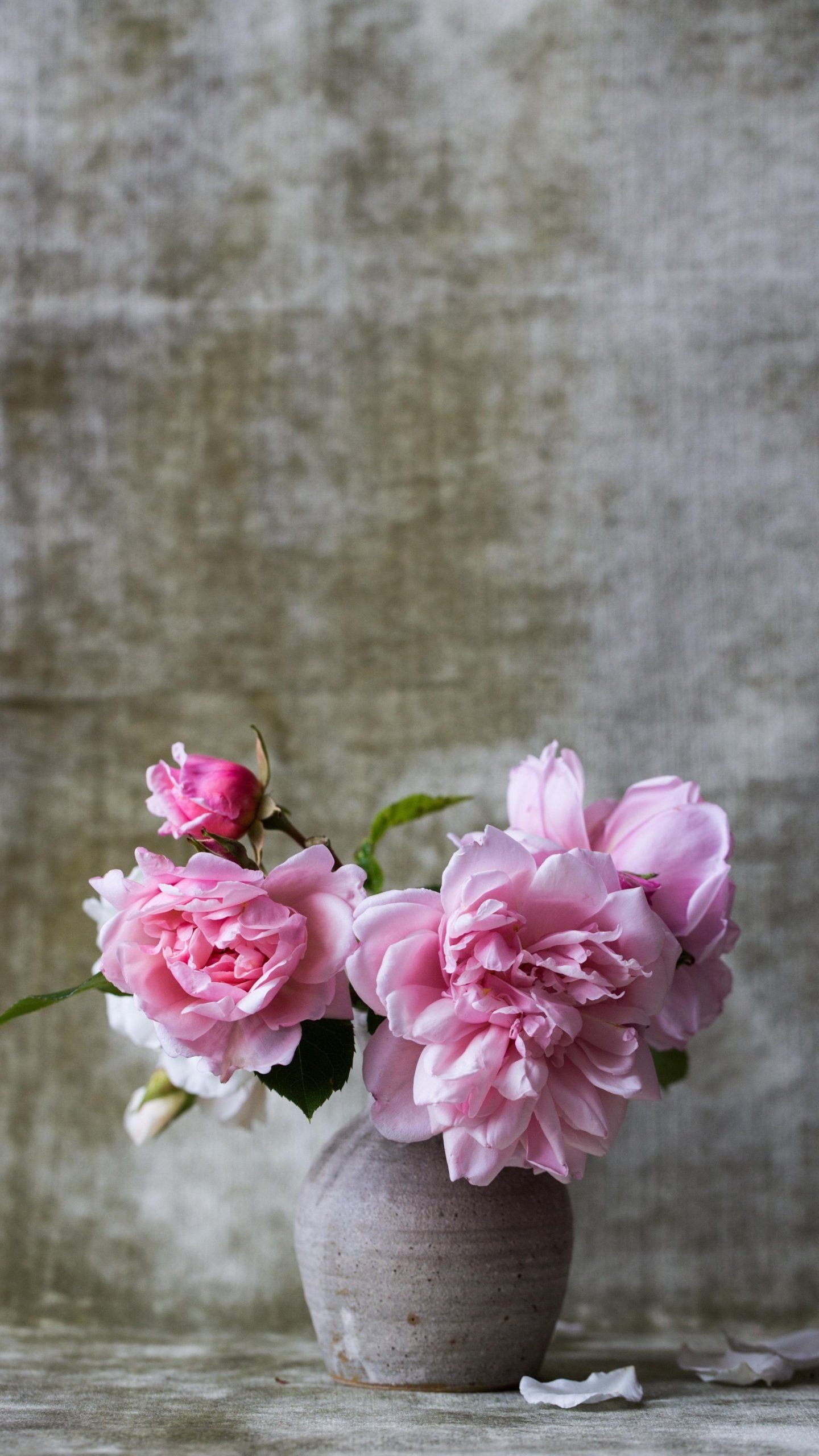 Pink peony blooms, Rustic stoneware jug, Mottled grey plaster backdrop, HD Phone wallpaper