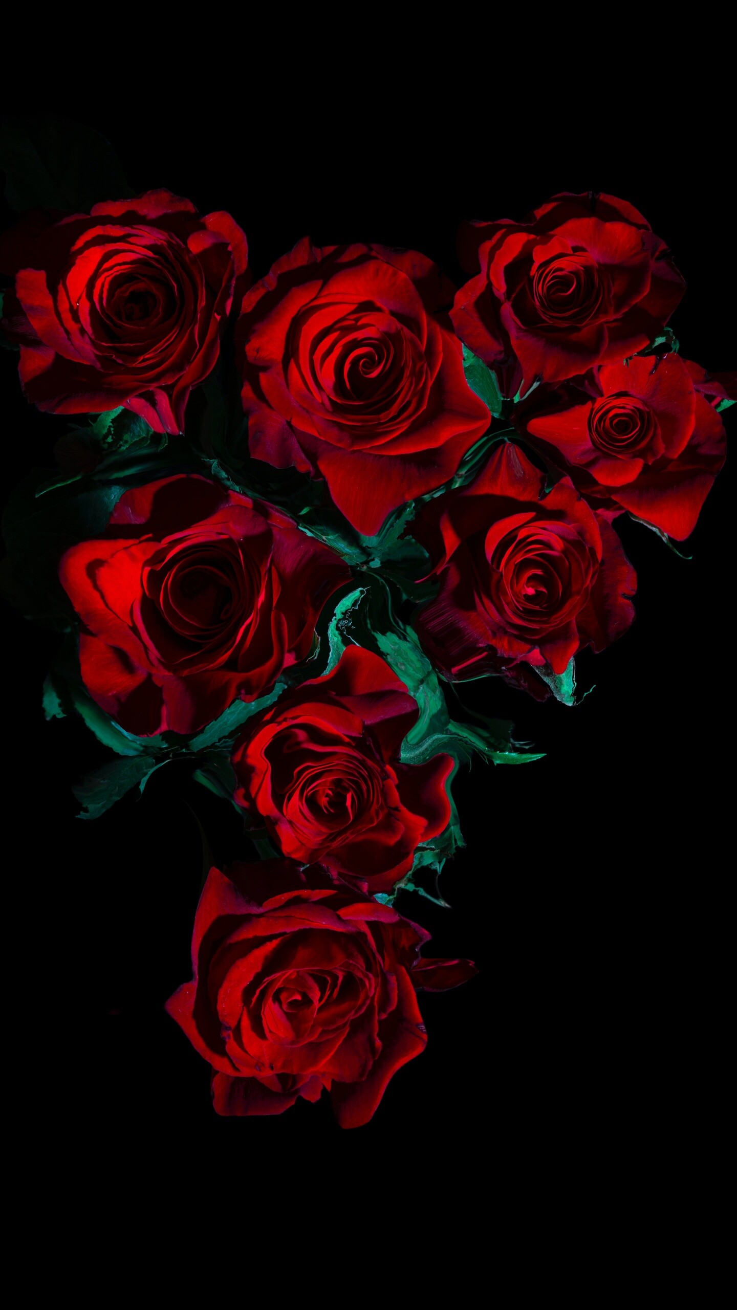 Red roses, Flower bouquet, Black background, 5K resolution, 1440x2560 HD Phone