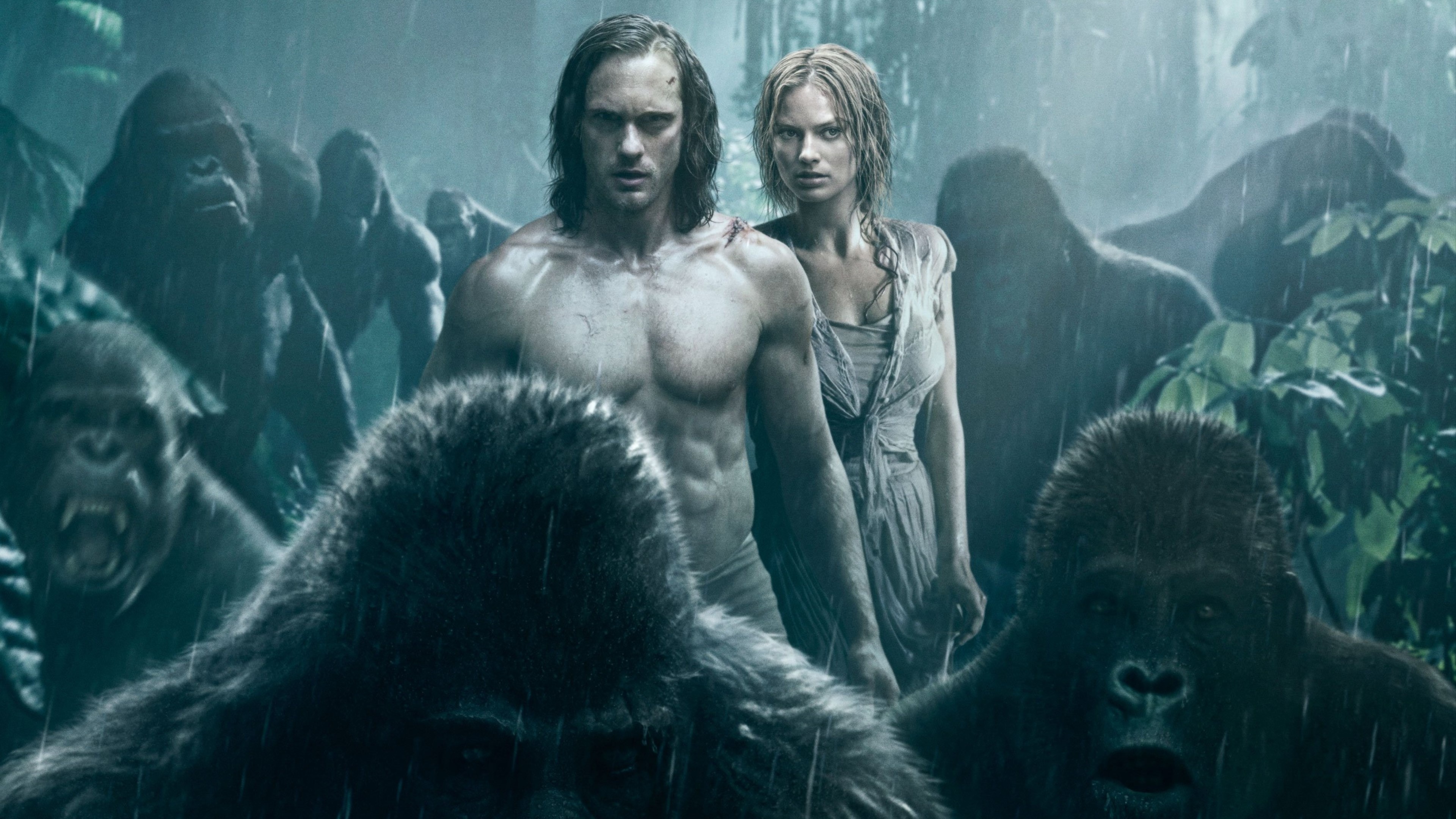 The Legend of Tarzan, 1680x1050 resolution, 3840x2160 4K Desktop