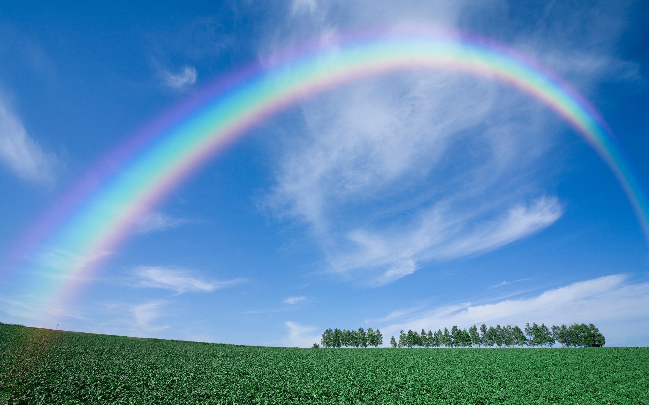 Vibrant rainbow arc, Green agricultural field, Row of distant trees, HD Desktop wallpaper