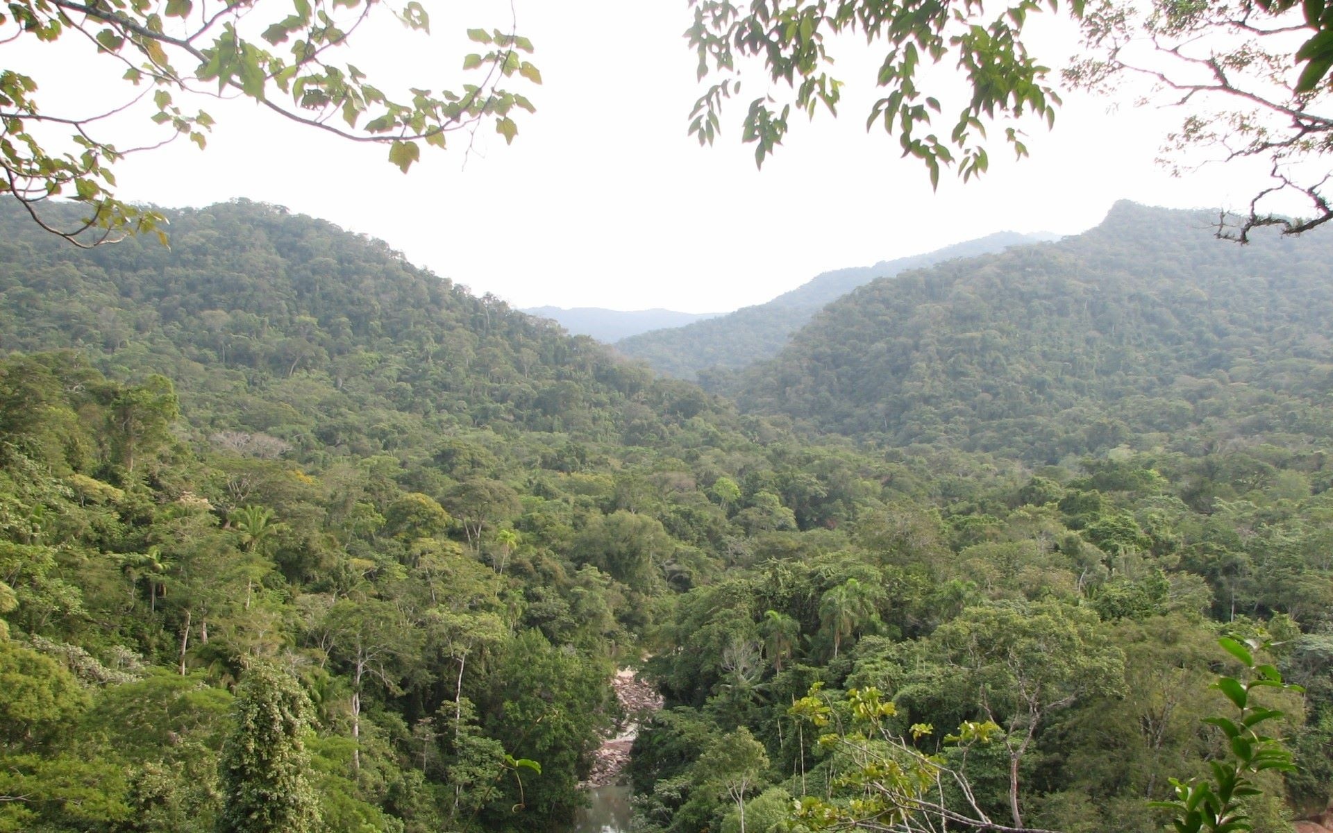 Equatorial Guinea, Widescreen hintergrundbilder, Travels, Nature, 1920x1200 HD Desktop