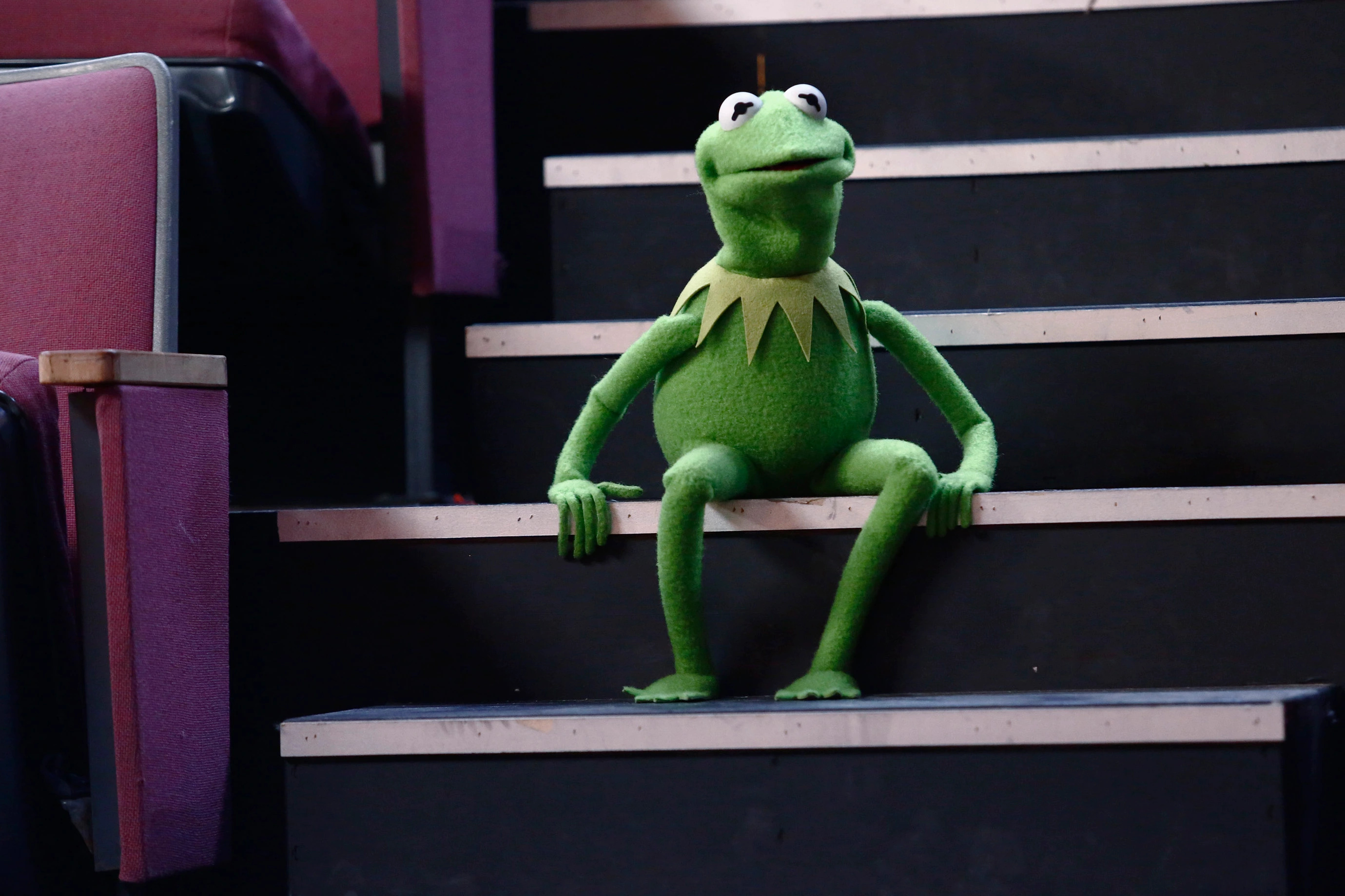 Kermit the Frog, Matt Vogel, Muppets new voice, Fortune, 2760x1840 HD Desktop