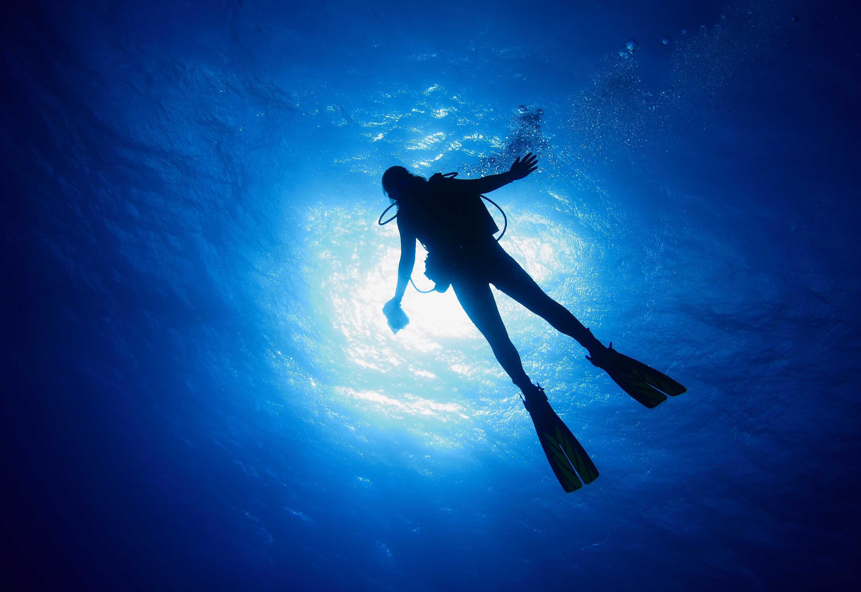 Diving program, Dive into adventure, Underwater exploration, Diving escapades, 2870x1980 HD Desktop