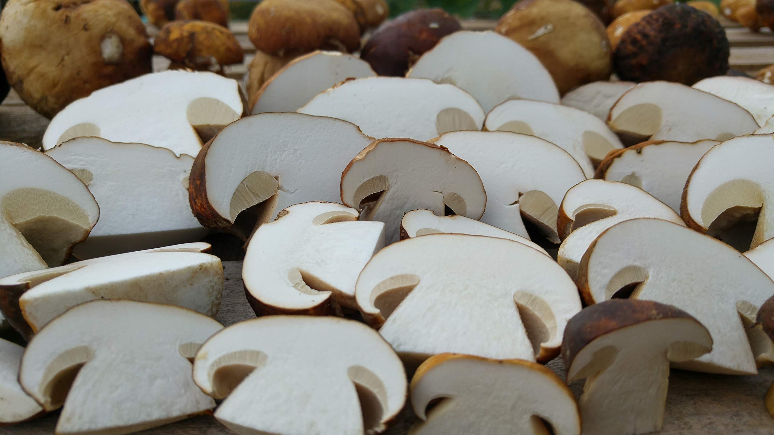 Sun-dried wild porcini, Greek forests, Desertcart, Culinary gem, 2560x1440 HD Desktop