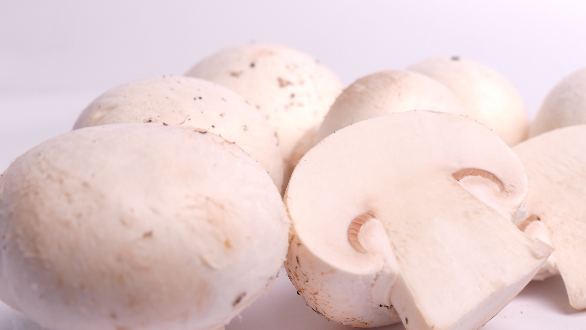 Champignons, wei pilz lenz wolfurt, Food, 2050x1160 HD Desktop