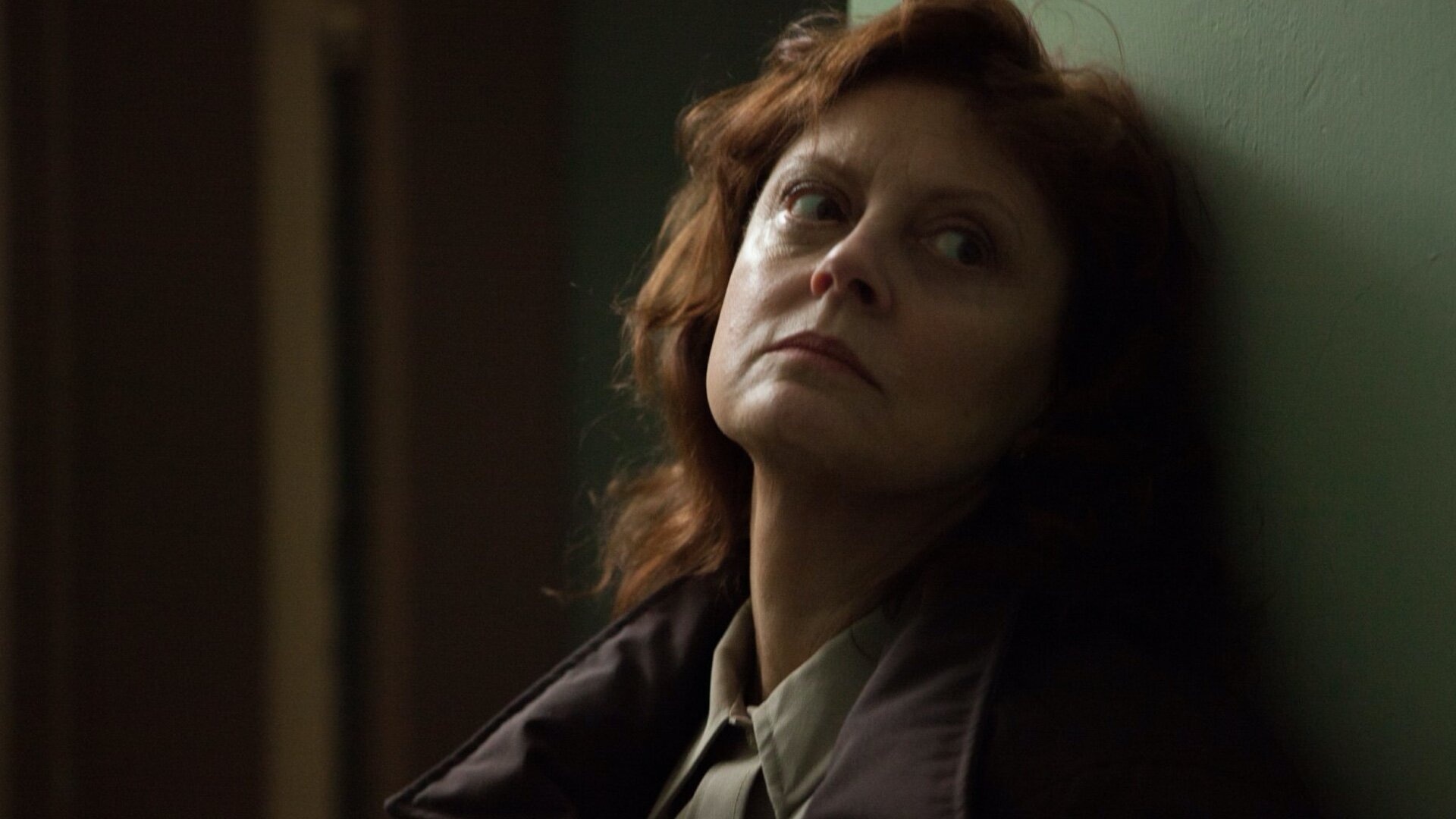 Susan Sarandon, Movies, HBO Max, Psychological thriller, 1920x1080 Full HD Desktop