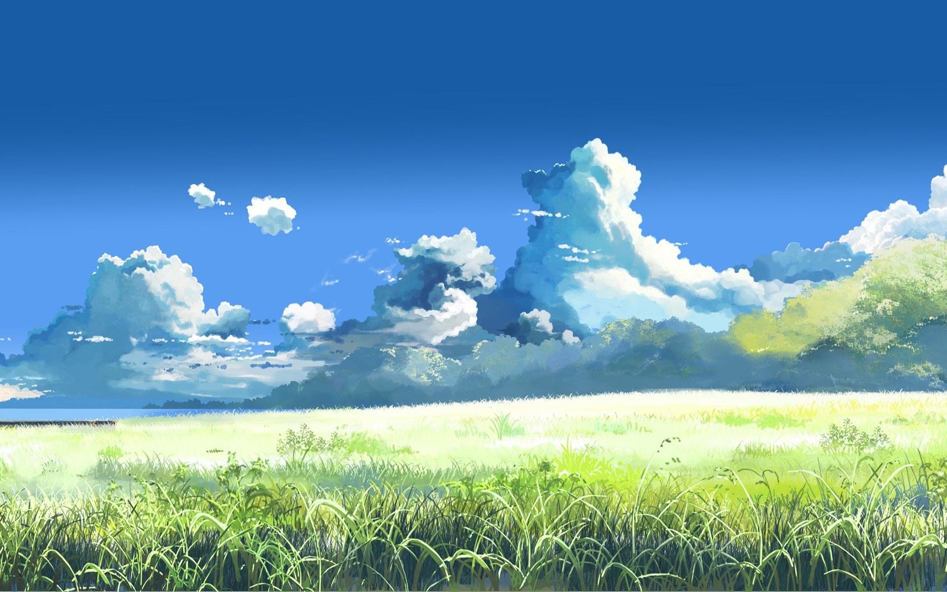 Grassland, Hyrule Wallpaper, 1920x1200 HD Desktop