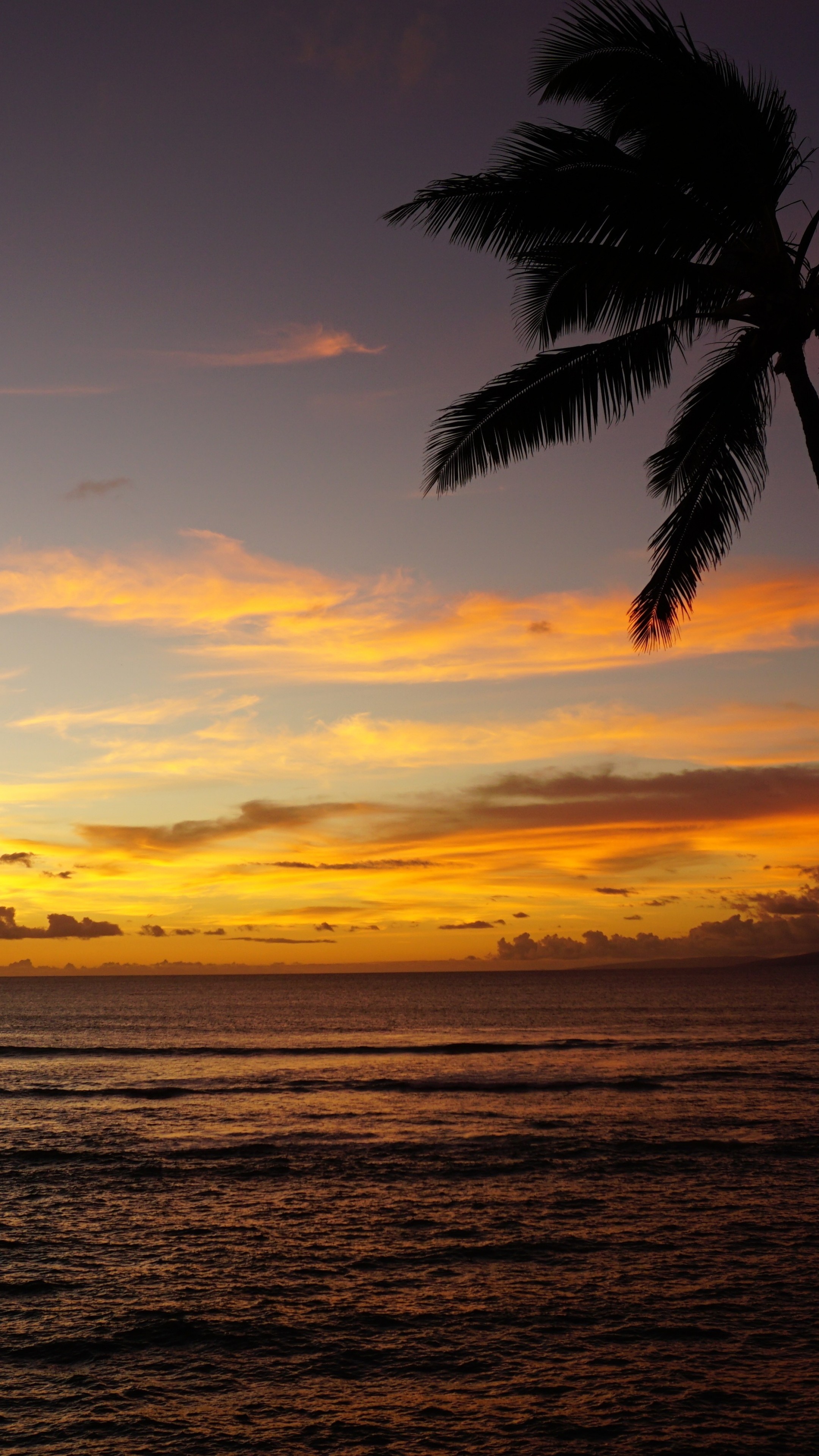 Maui, Hawaiian Sunset Wallpaper, 2160x3840 4K Phone