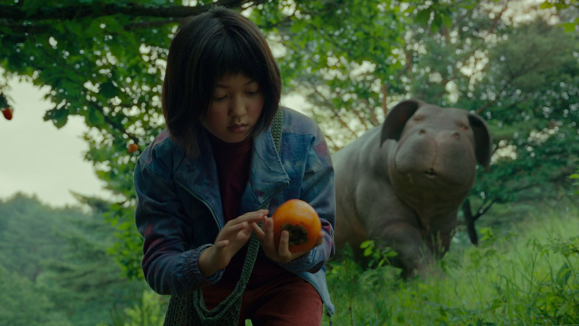 Okja, Sci-fi movies, Netflix streaming, Top 10 list, 1920x1080 Full HD Desktop