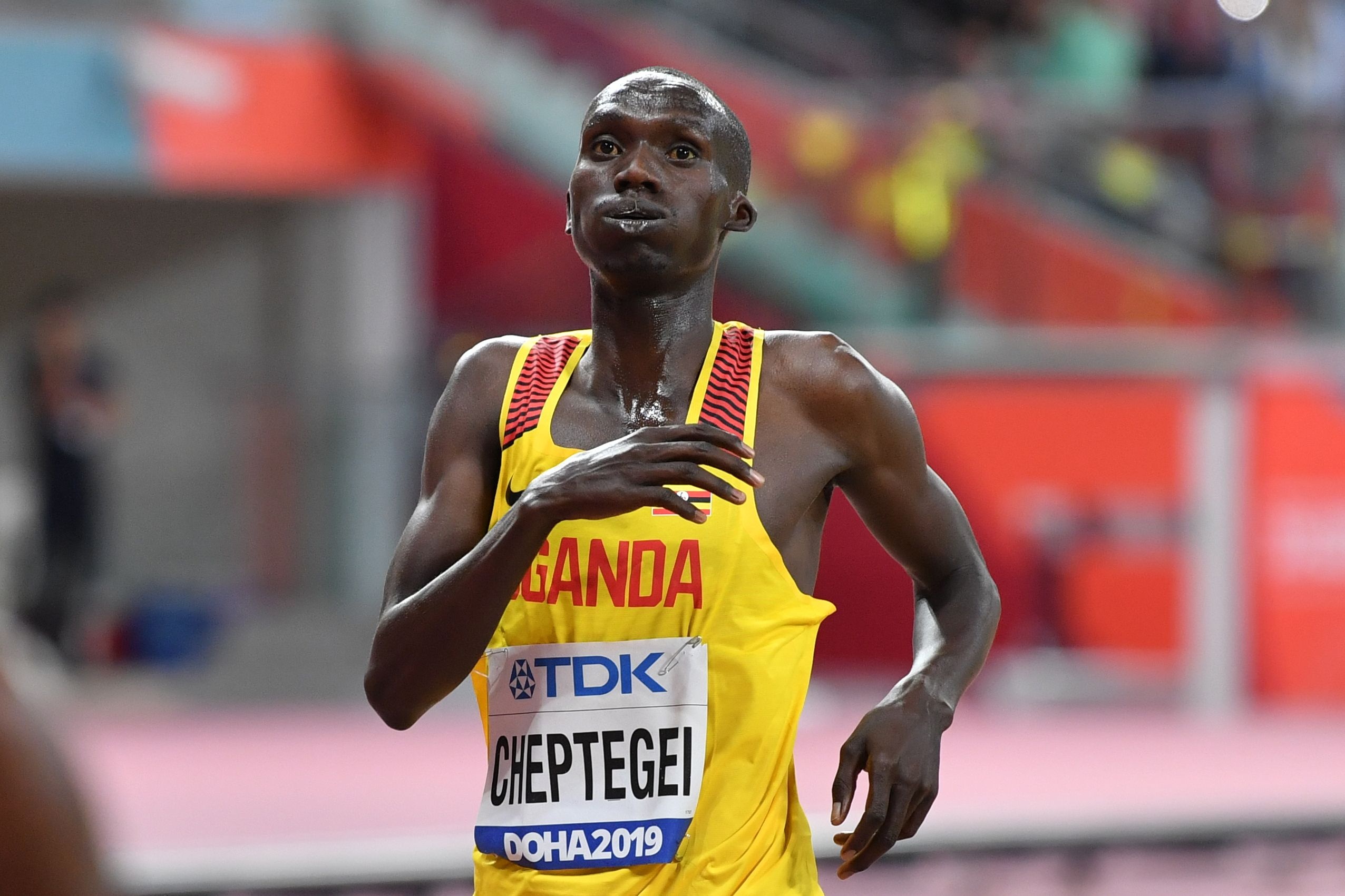 Joshua Cheptegei, 5k world record, Fastest 5k ever, 2560x1710 HD Desktop