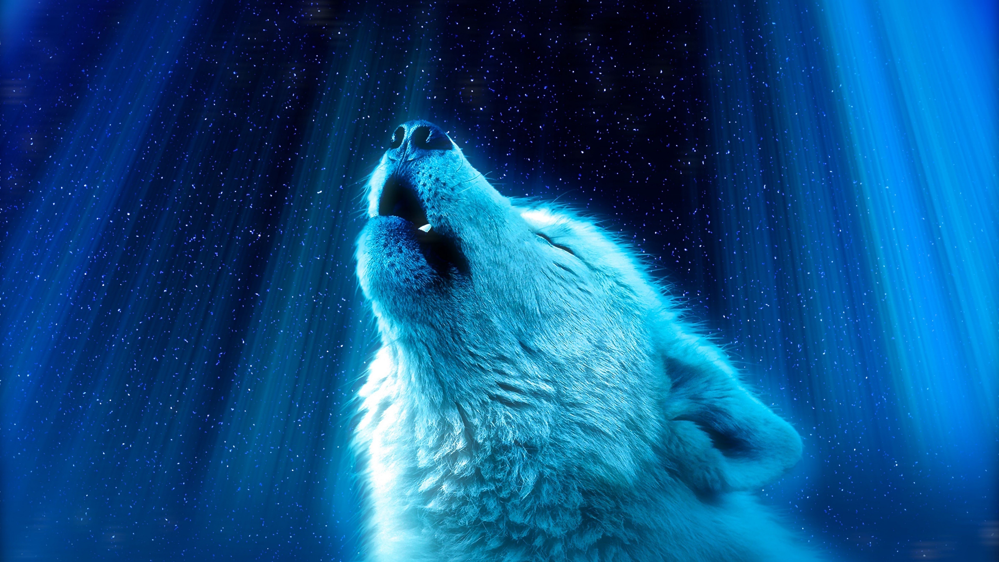 Howling, Ice Wolf Wallpaper, 3840x2160 4K Desktop