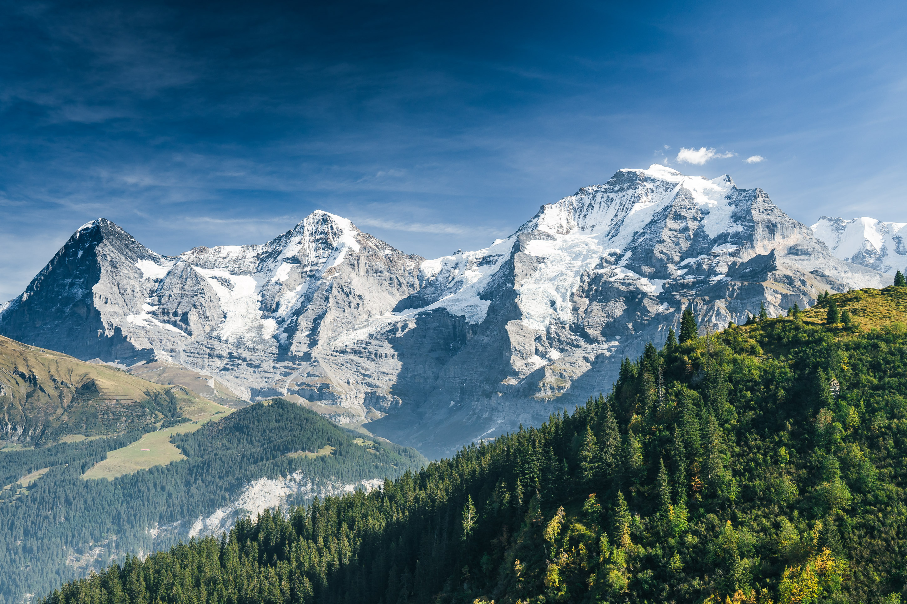 Jungfrau Mönch and Eiger, Bernese Alps landscape, Forested Alpine mountainside, HD Desktop wallpaper