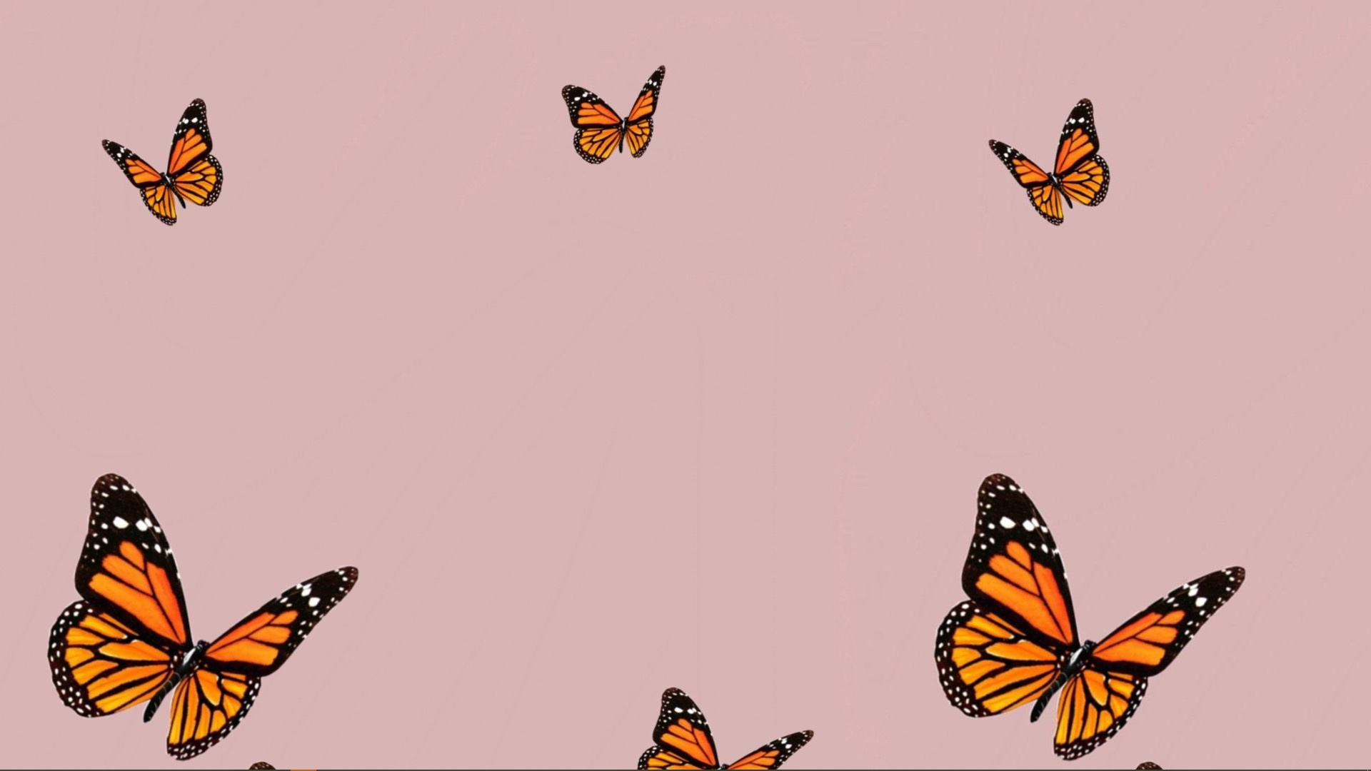 Butterflies, Cute Computer Wallpaper, 1920x1080 Full HD Desktop