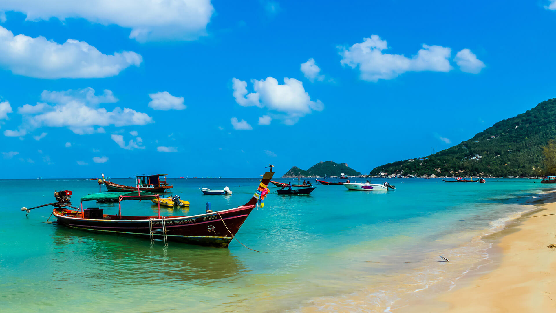 PADI divemaster course, Koh Tao, Scuba diving paradise, Thailand travels, 1920x1080 Full HD Desktop