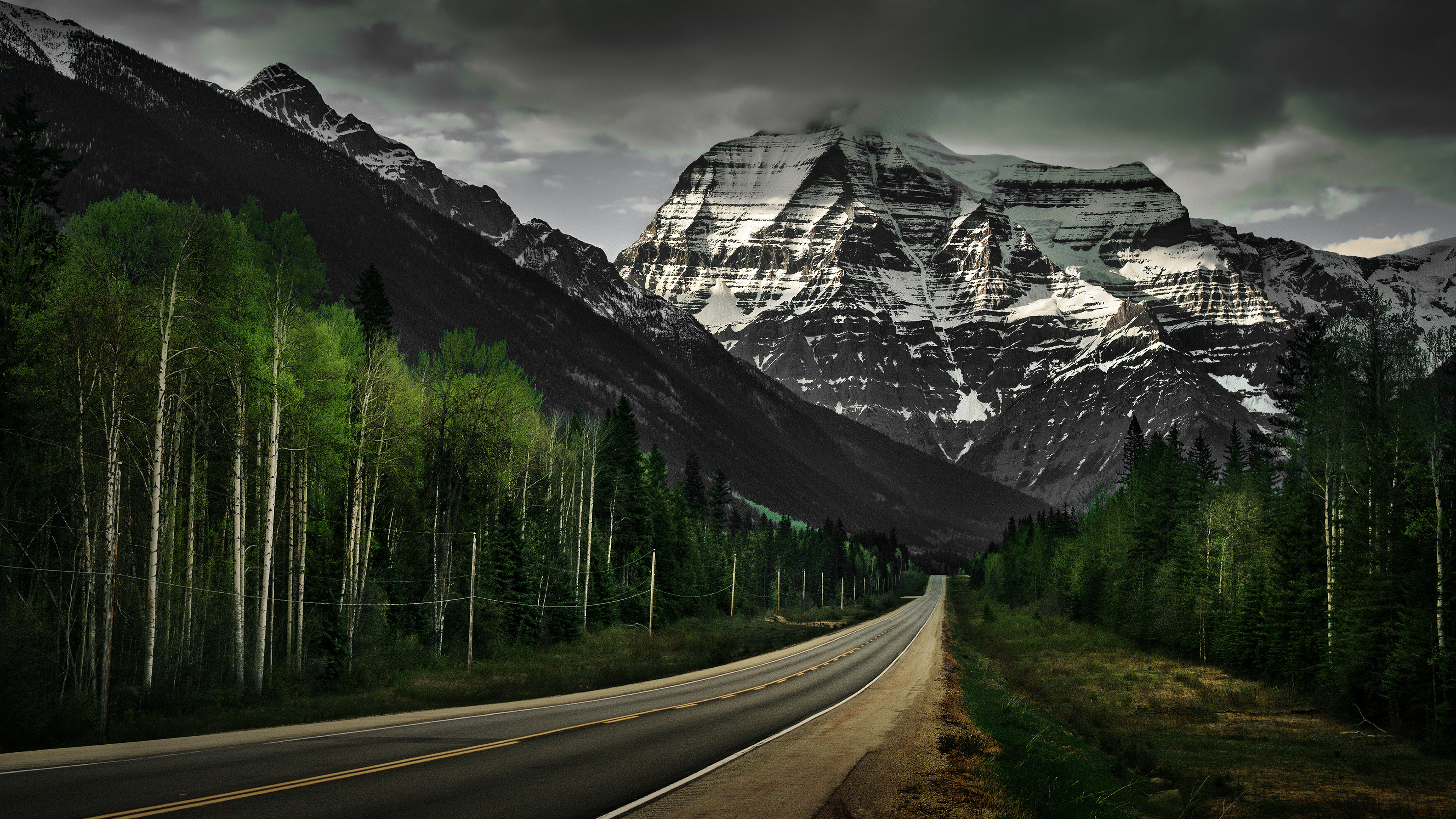 Mount Robson, Yellowhead Highway, coniferous roadside forest, 4K Desktop wallpaper