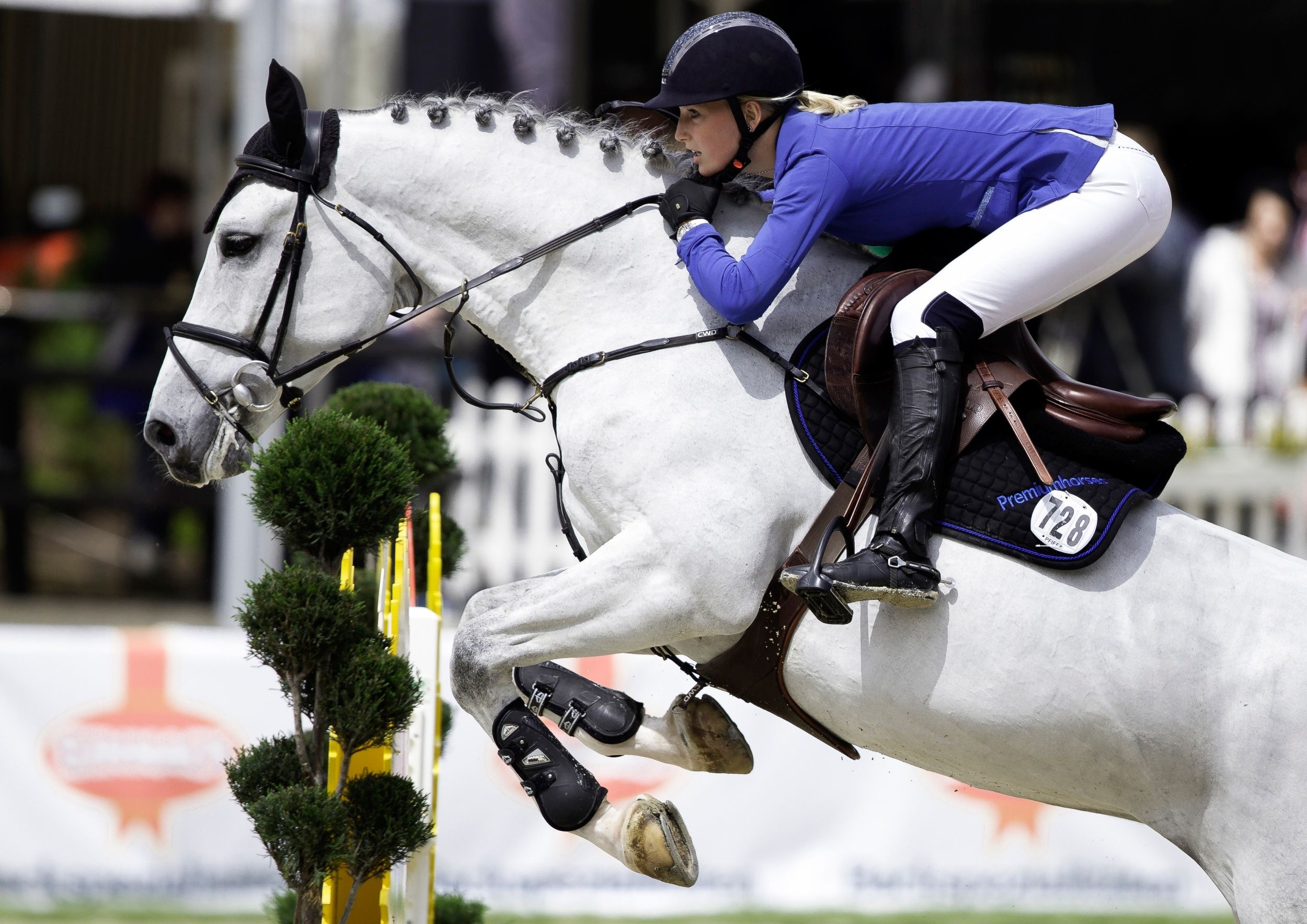 Graceful jumps, Equestrian sport, Majestic horses, Athletic prowess, 2500x1770 HD Desktop