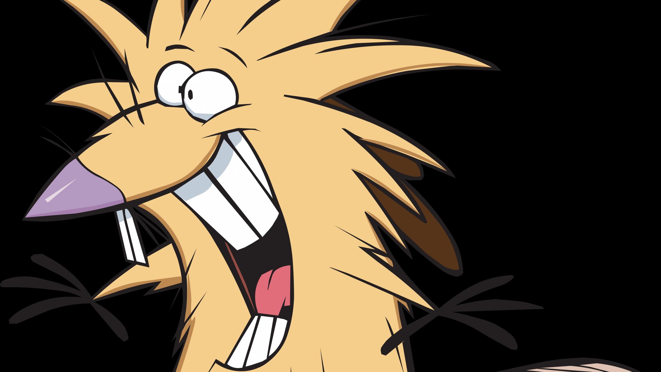 Angry beavers, TV series, Animation, Vector beavers, 2560x1440 HD Desktop