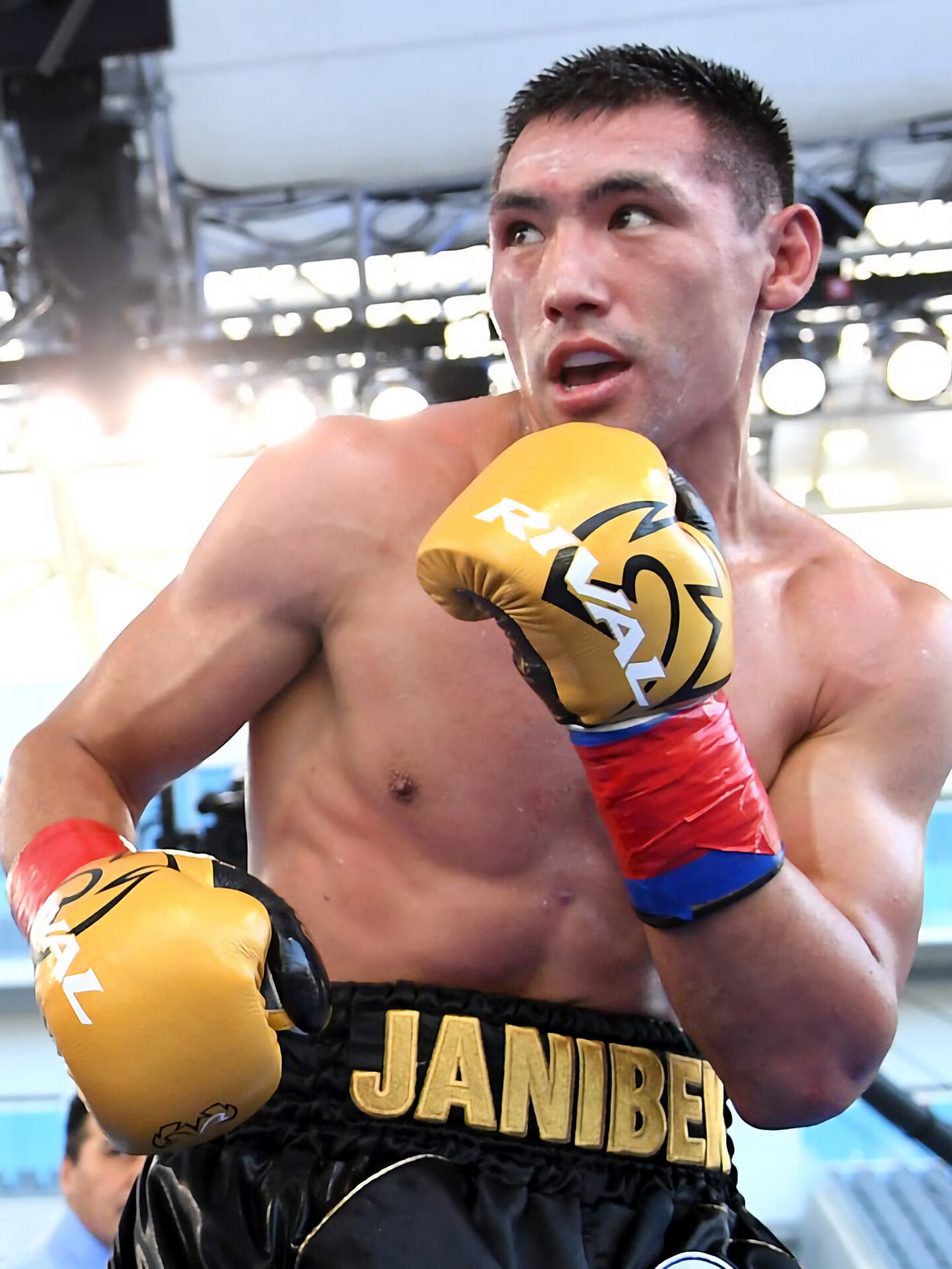 Janibek Alimkhanuly, Boxing champion's journey, Strong punches, Powerful stances, 1450x1920 HD Phone