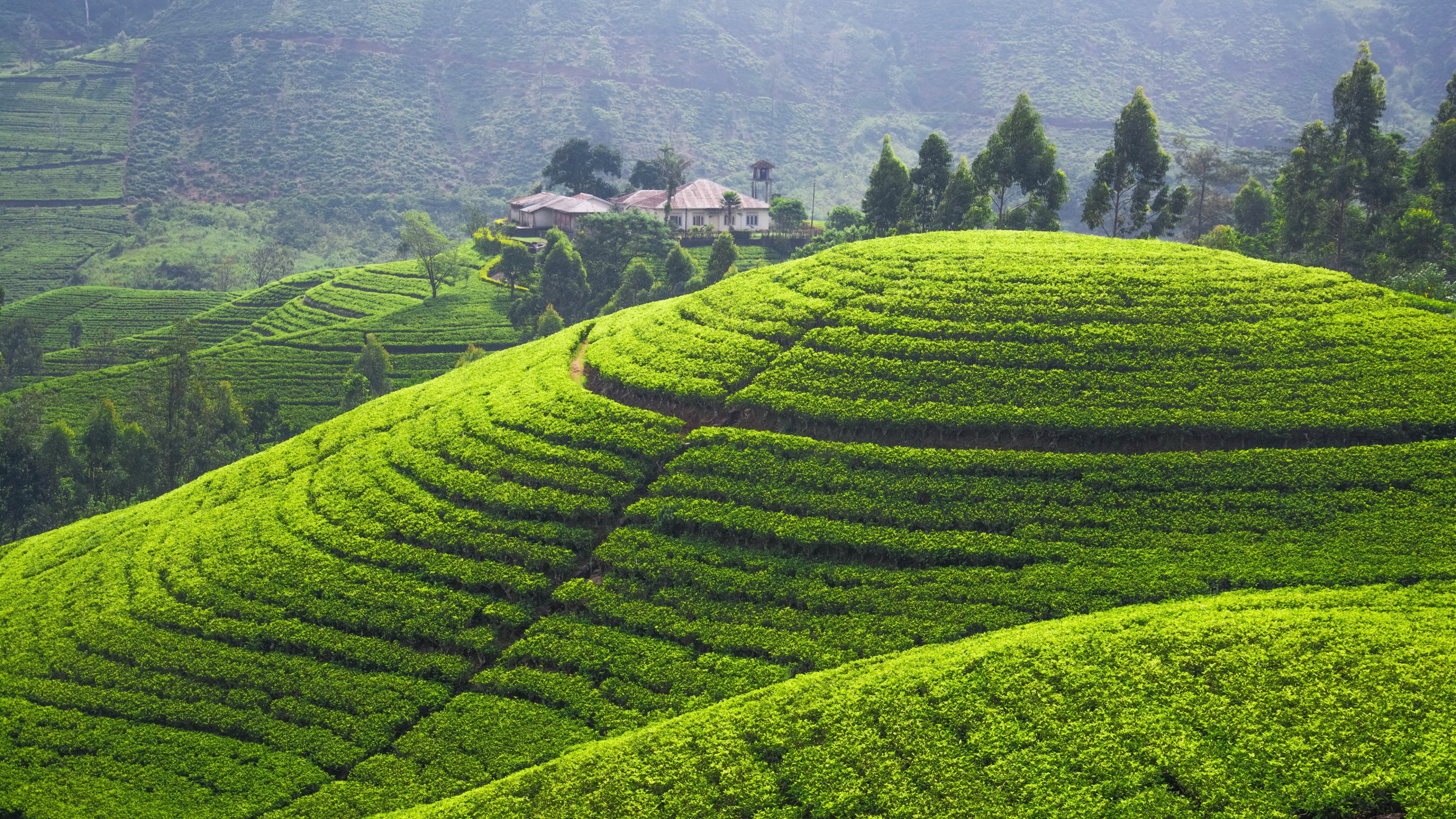 Sri Lanka, Green Hills Wallpaper, 3840x2160 4K Desktop