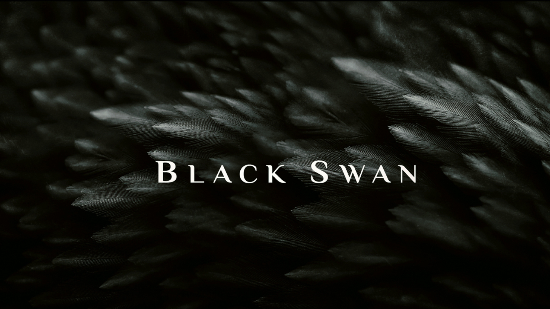 Kellylimdesign, Creative and artistic, Black swan theme, Striking designs, 1920x1080 Full HD Desktop