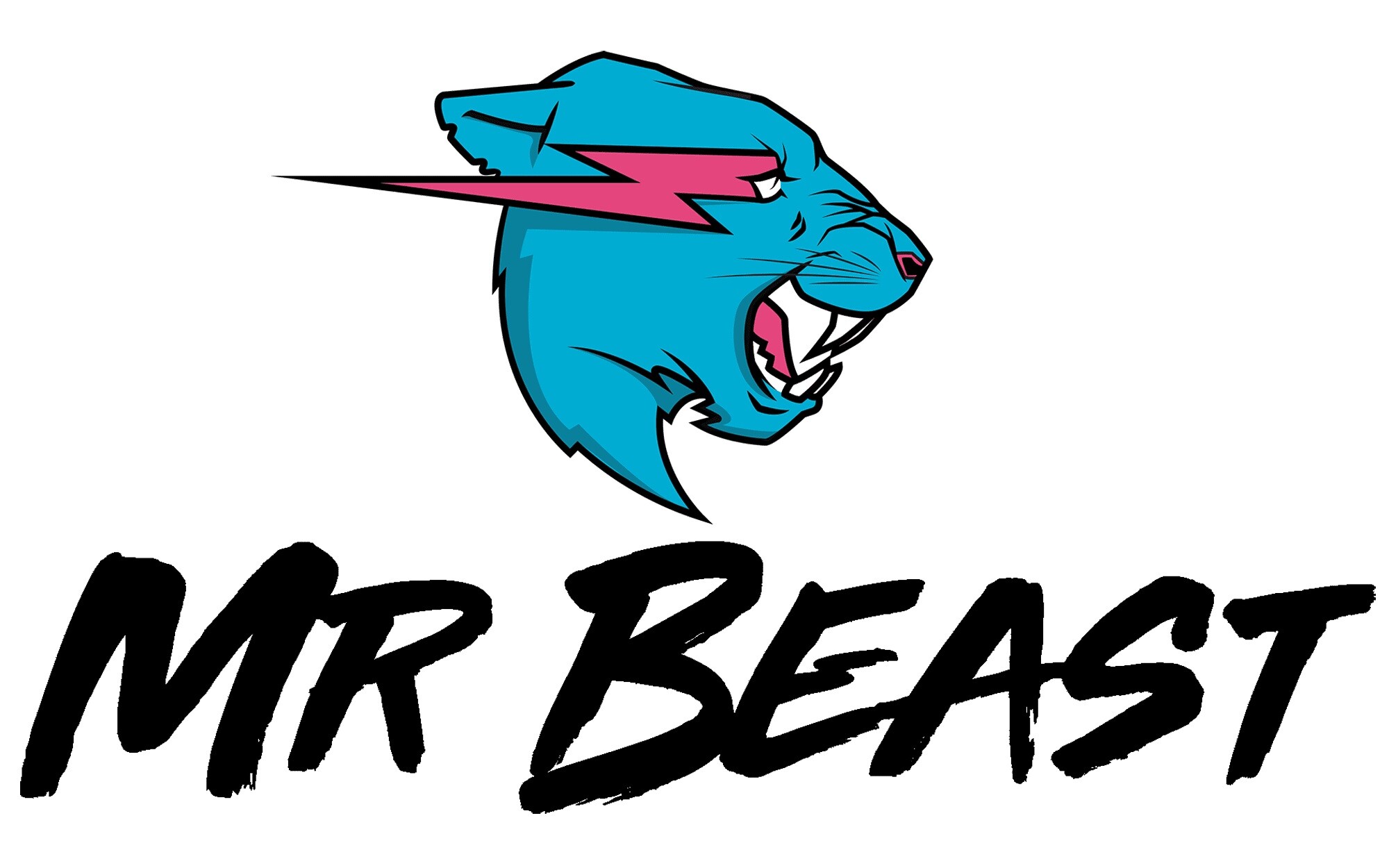 MrBeast's impact, Philanthropic efforts, Entertaining videos, Internet sensation, 2000x1250 HD Desktop