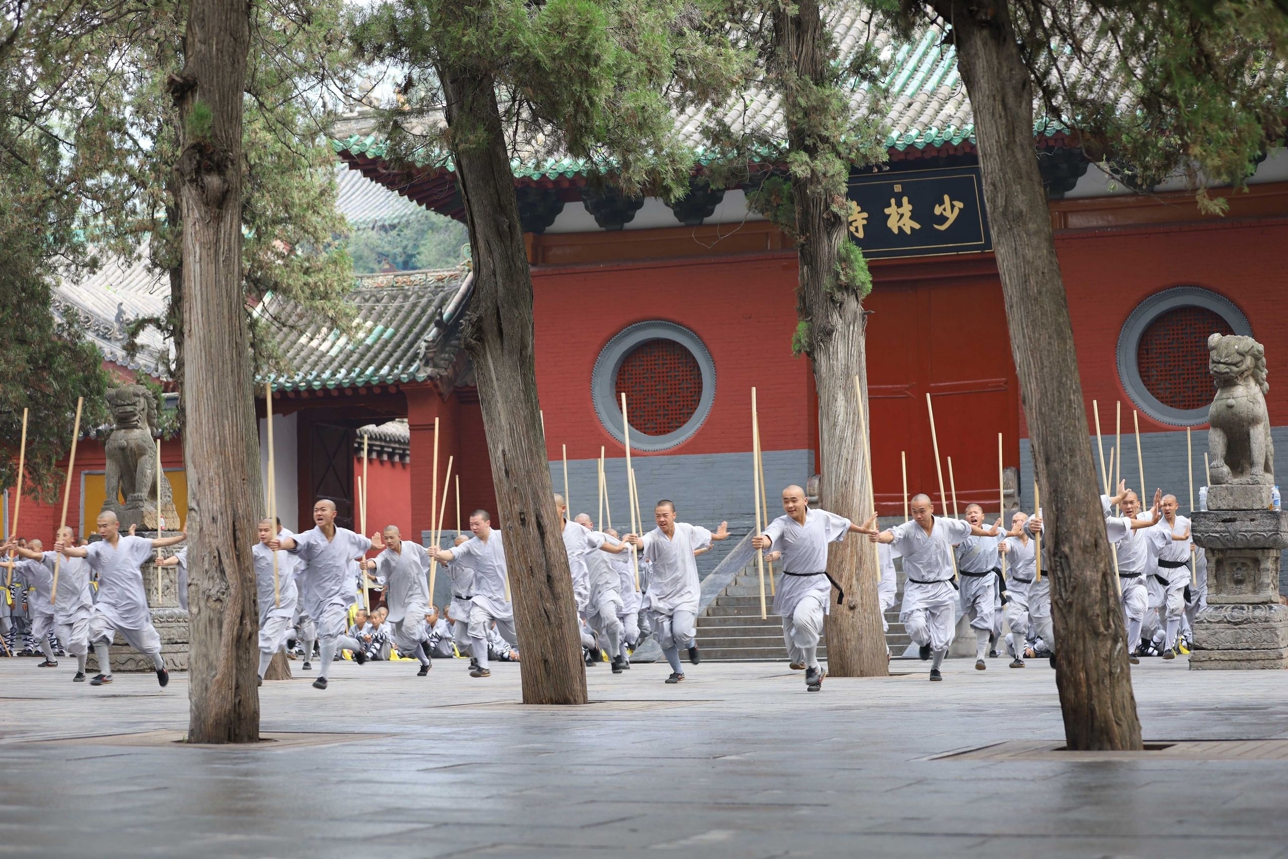 Wushu class in China, Perfect for beginners, Learn the basics, Affordable lessons, 2560x1710 HD Desktop