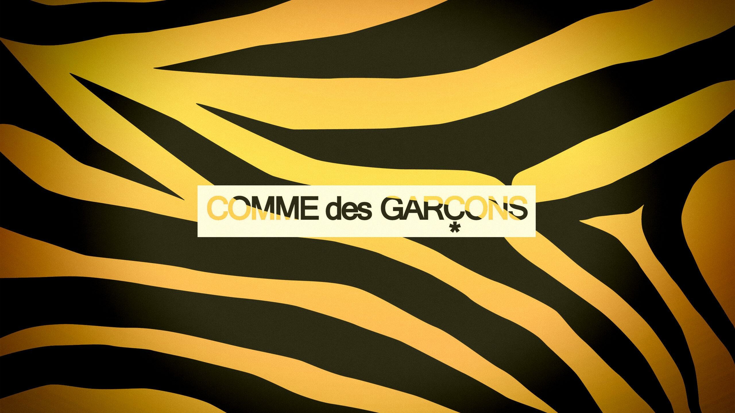 Comme des Garcons, Fashionable desktop backgrounds, Iconic designs, Unique style, 2560x1440 HD Desktop