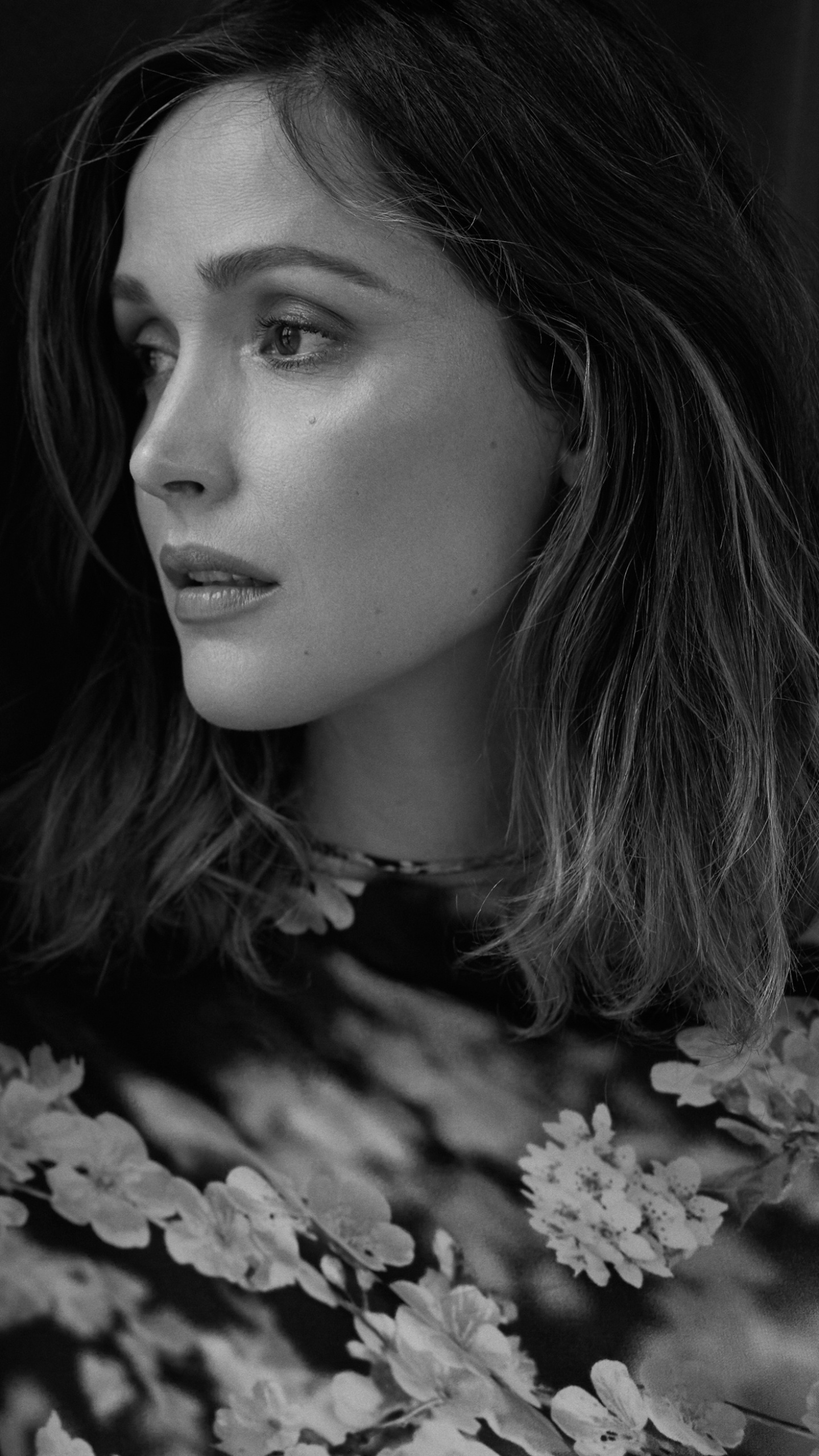 Rose Byrne, Celebrity, 1440x2560 HD Phone