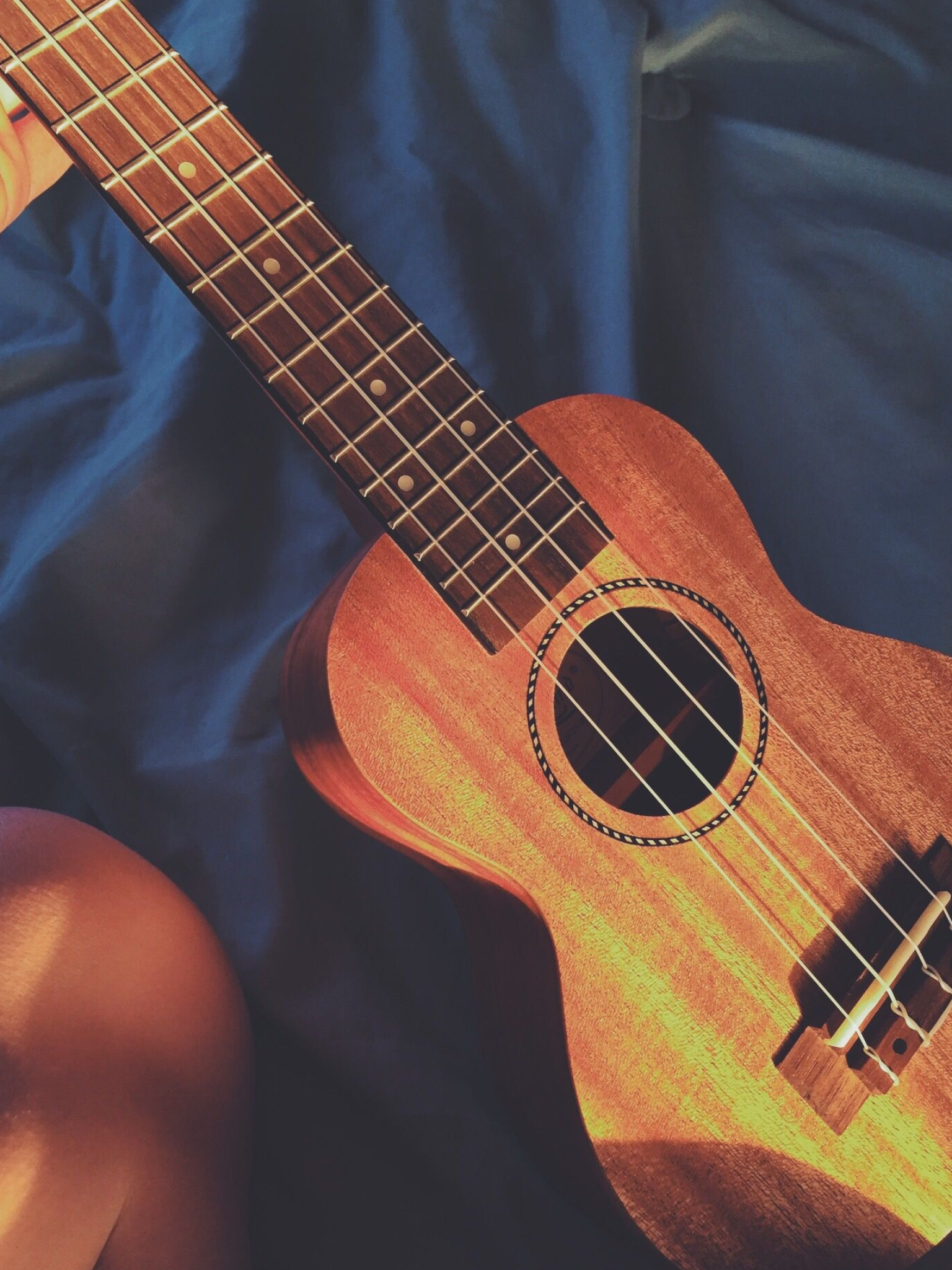 Ukulele love, Melodies in focus, Musical passion, Captured moments, 1540x2050 HD Phone