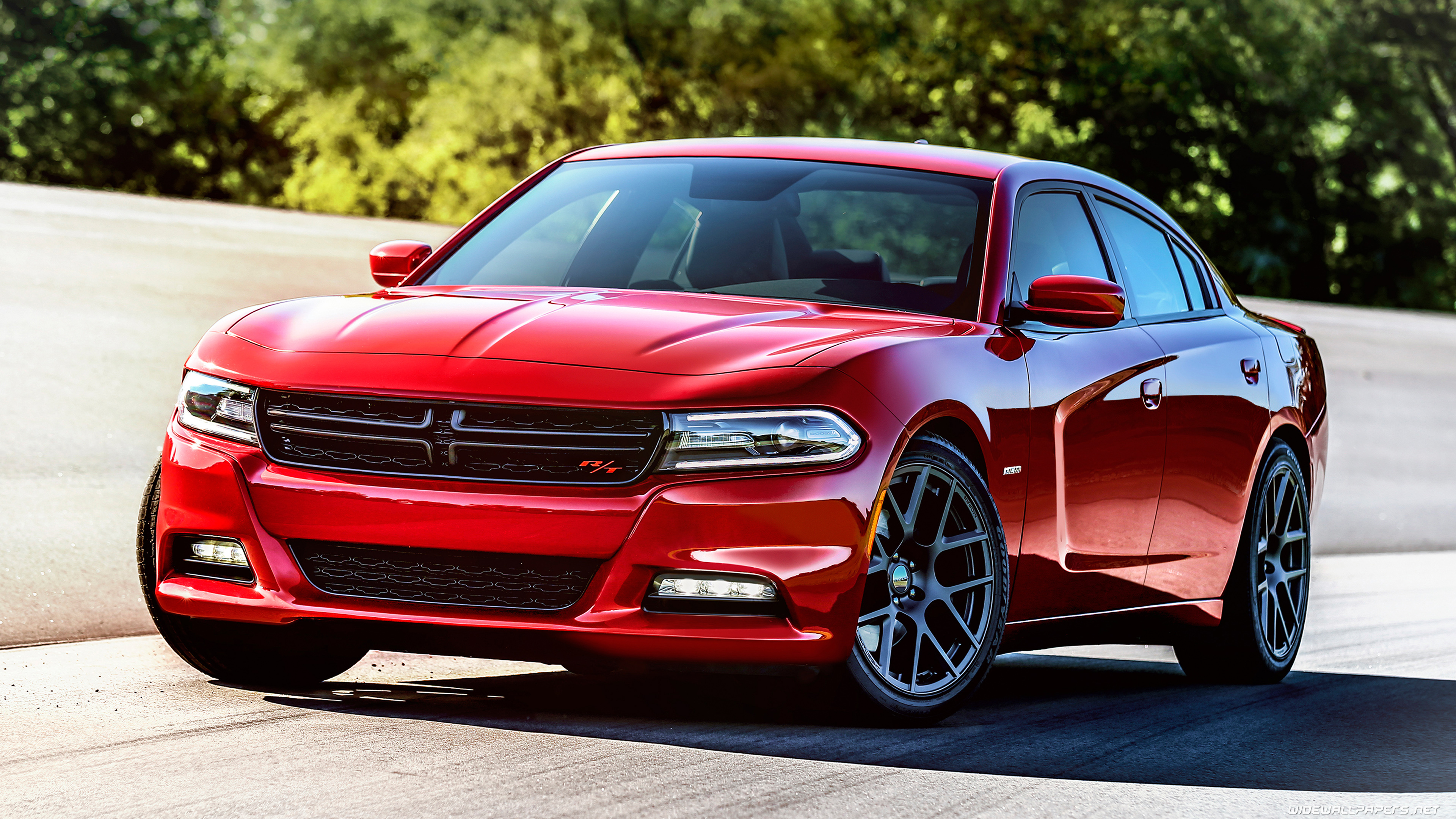 Dodge Charger, Muscular presence, High-performance machine, American classic, 3840x2160 4K Desktop