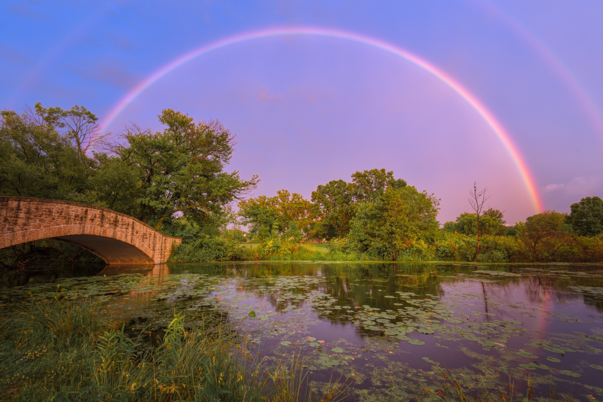 Full arch rainbow, Stone arch bridge, Lily pad covered pond, HD Desktop wallpaper