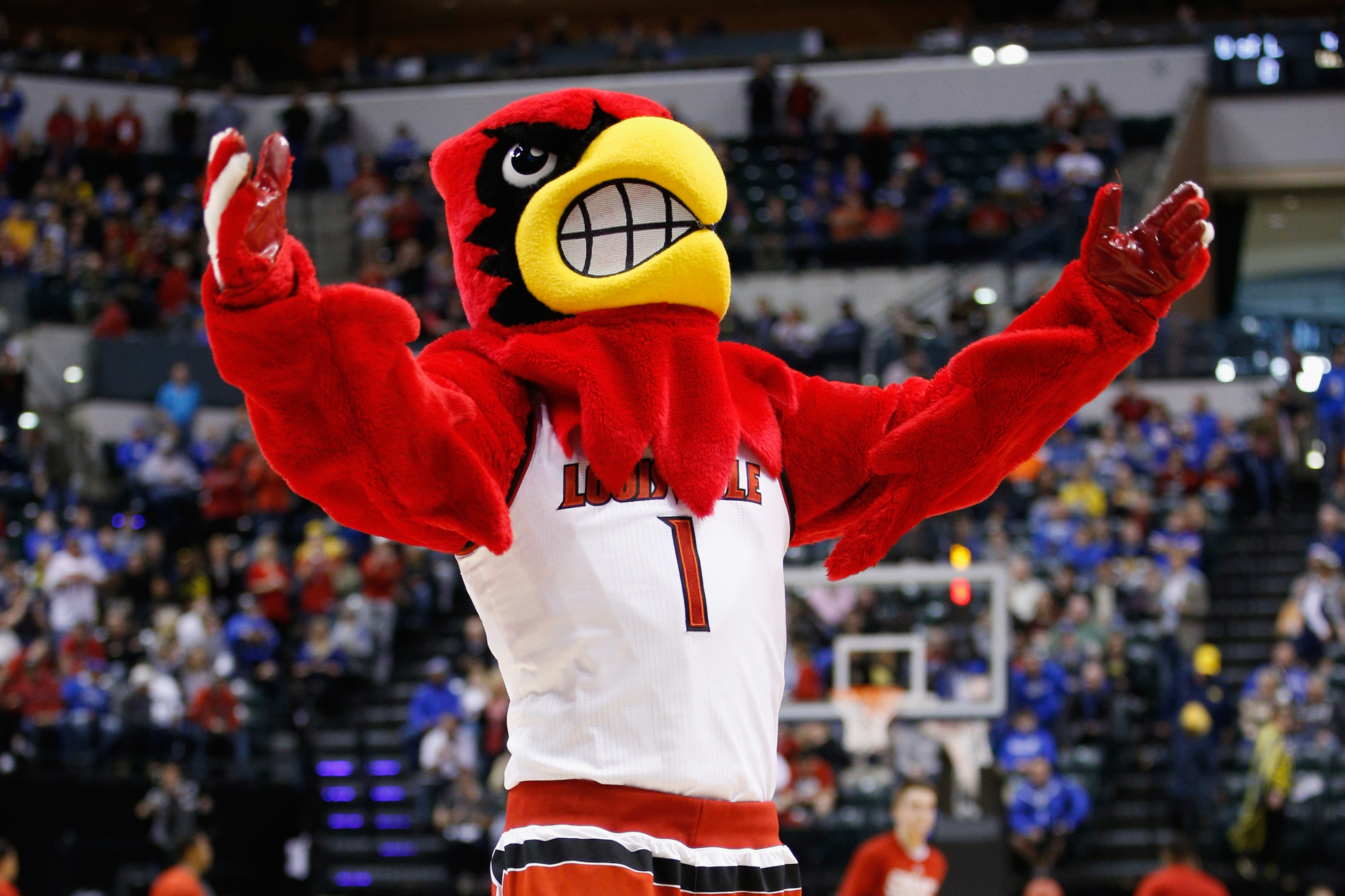 Mascot Louie, Louisville Cardinals Wallpaper, 3200x2140 HD Desktop