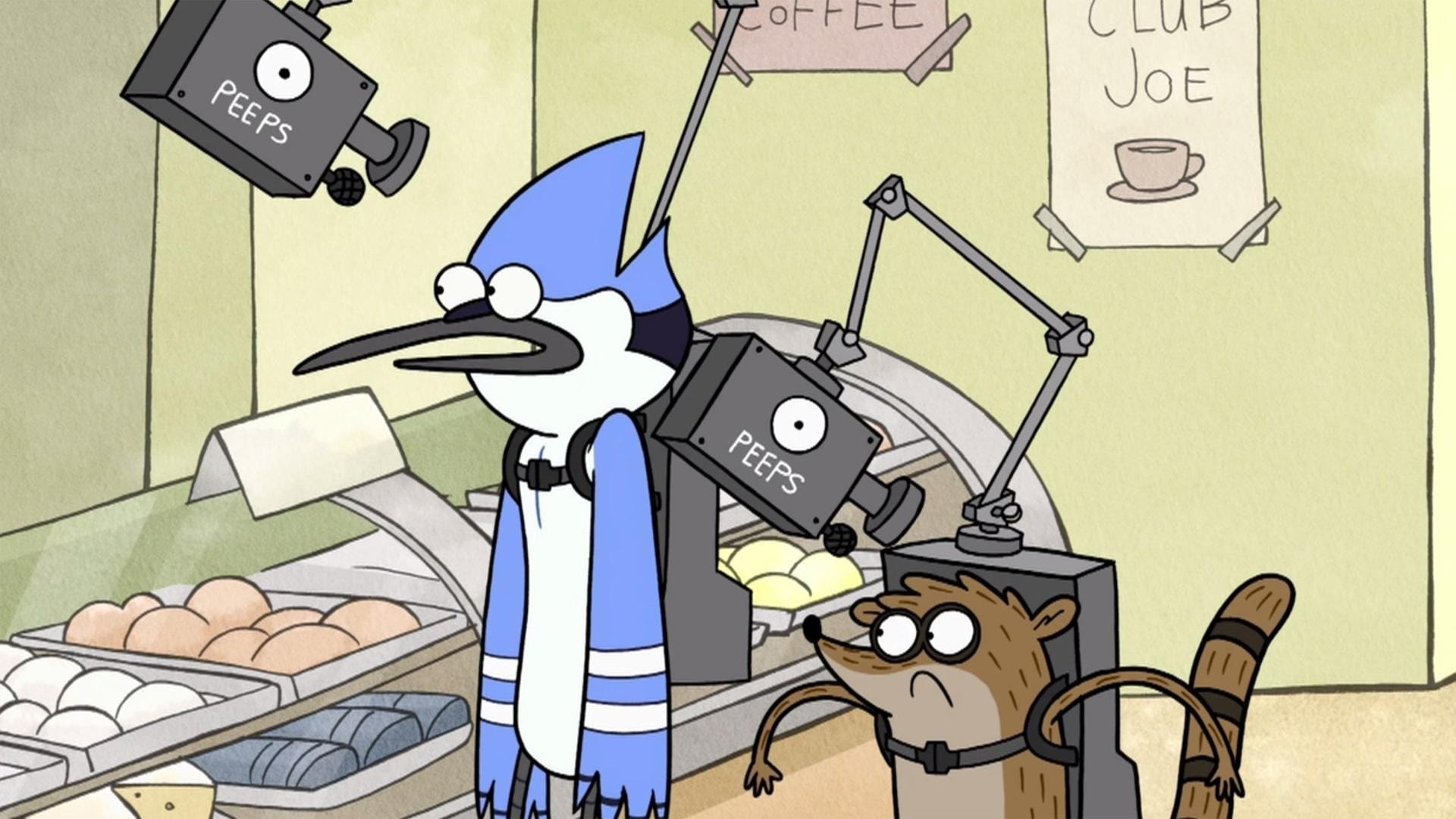 Mordecai in the coffee shop, Rigby in a harness, Flying camera drones, Bakery display case, Regular Show, Full HD Desktop wallpaper