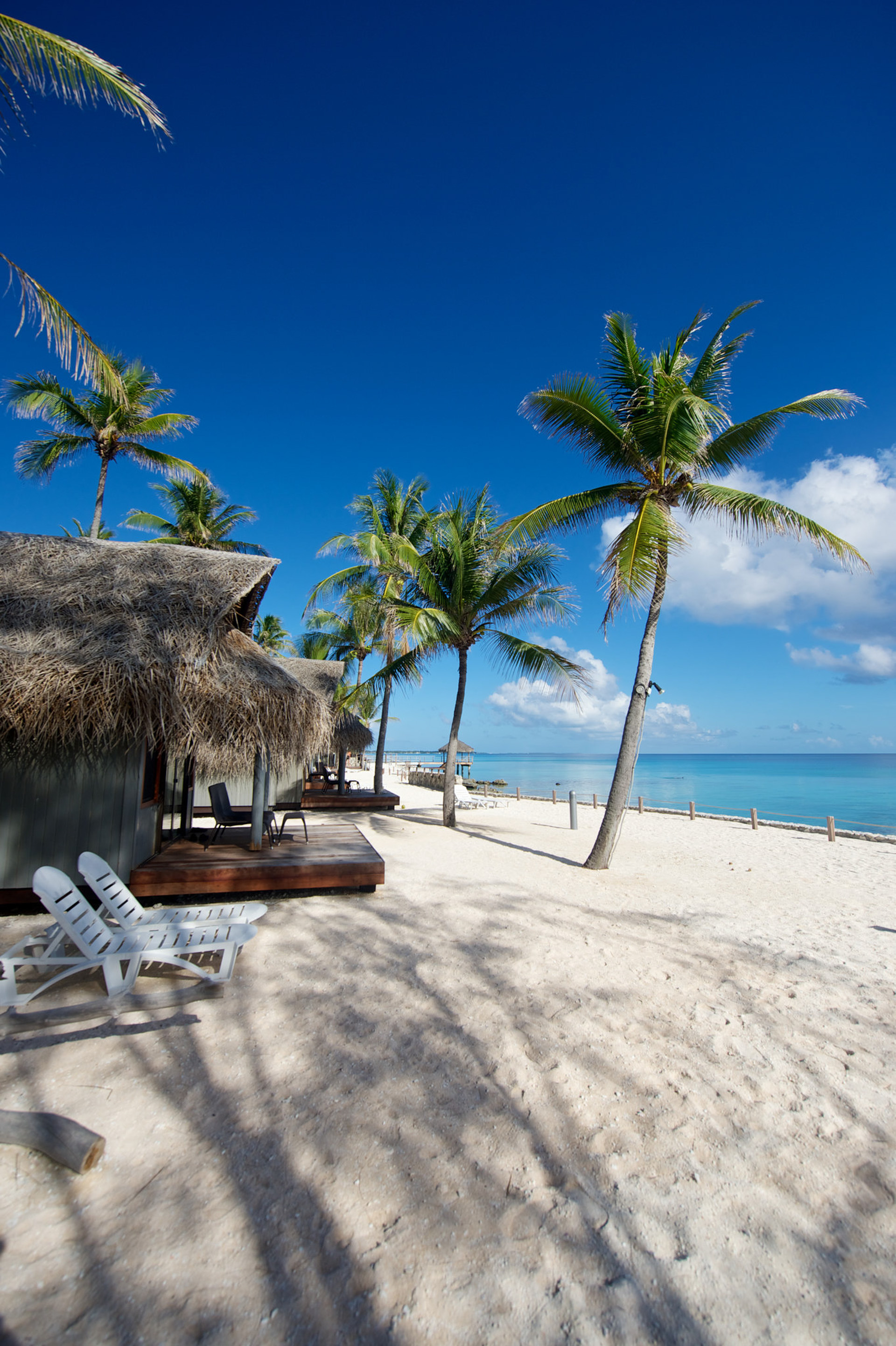 Rangiroa Atoll, Travels, Le Maitai Hotel, Scuba, 1920x2890 HD Phone