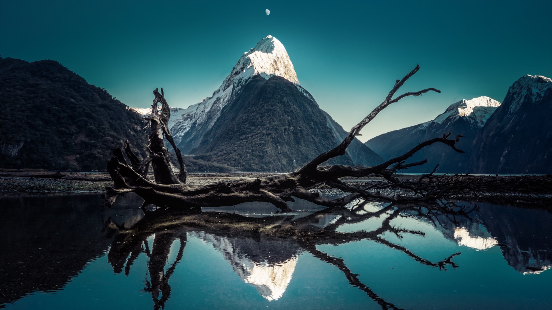 Mitre Peak Wallpaper, Moon, Fallen Tree, Nature, 1920x1080 Full HD Desktop