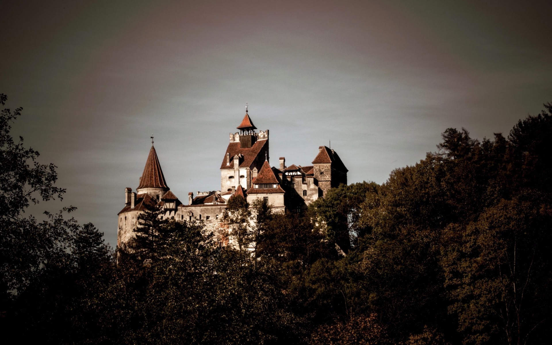 Bran Castle, HD Wallpaper, Baltana, 1920x1200 HD Desktop