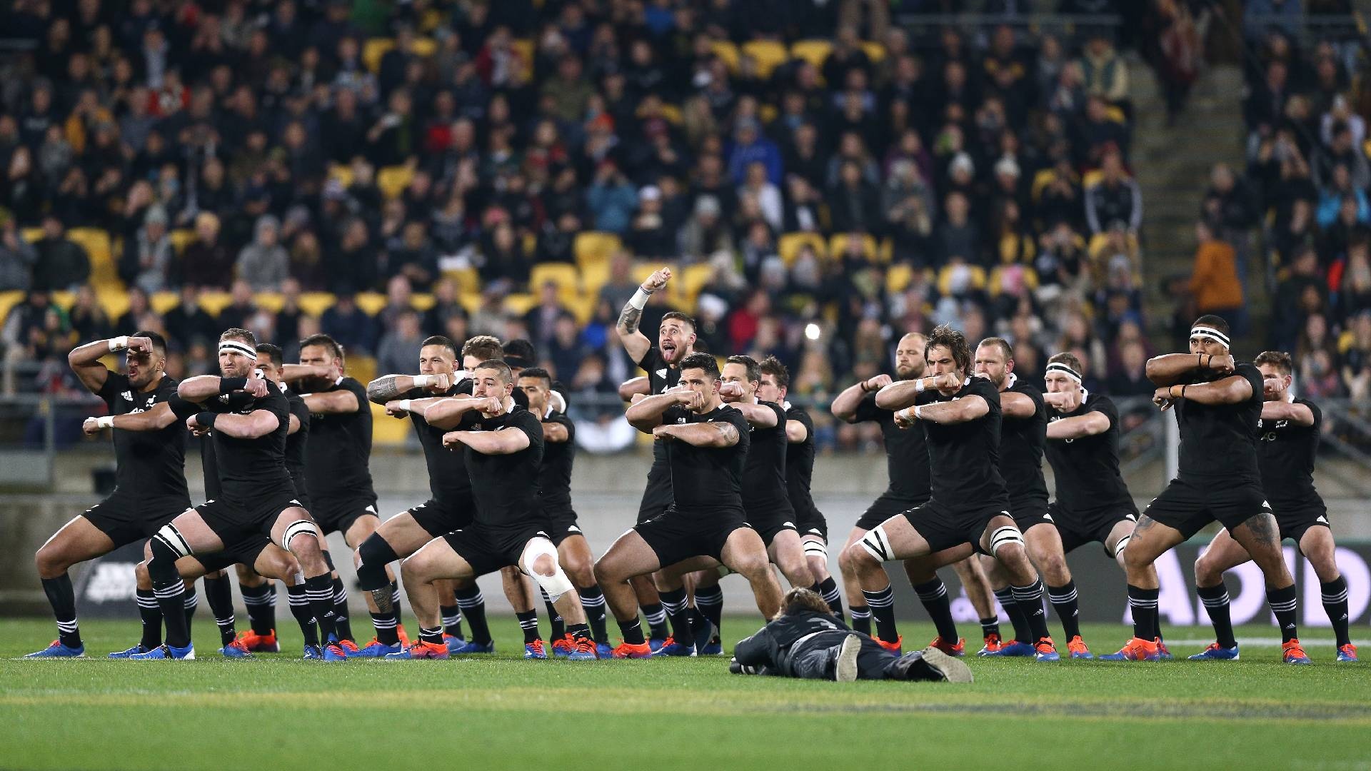 Haka dance, New Zealand tradition, All Blacks, Rugby, 1920x1080 Full HD Desktop