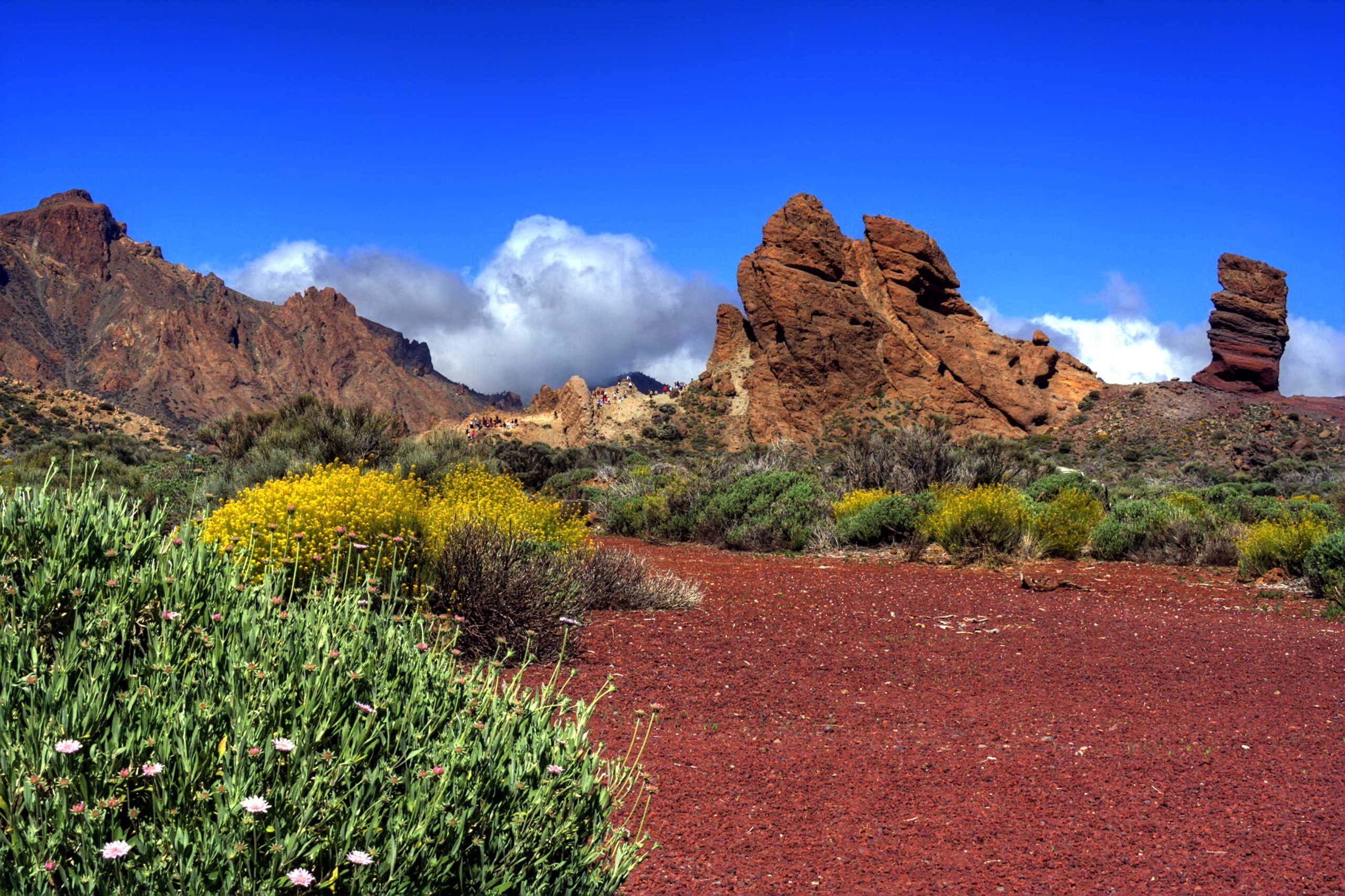 Teide National Park, Wanderjule Teneriffa, Hiking paradise, Natural beauty, 2560x1710 HD Desktop